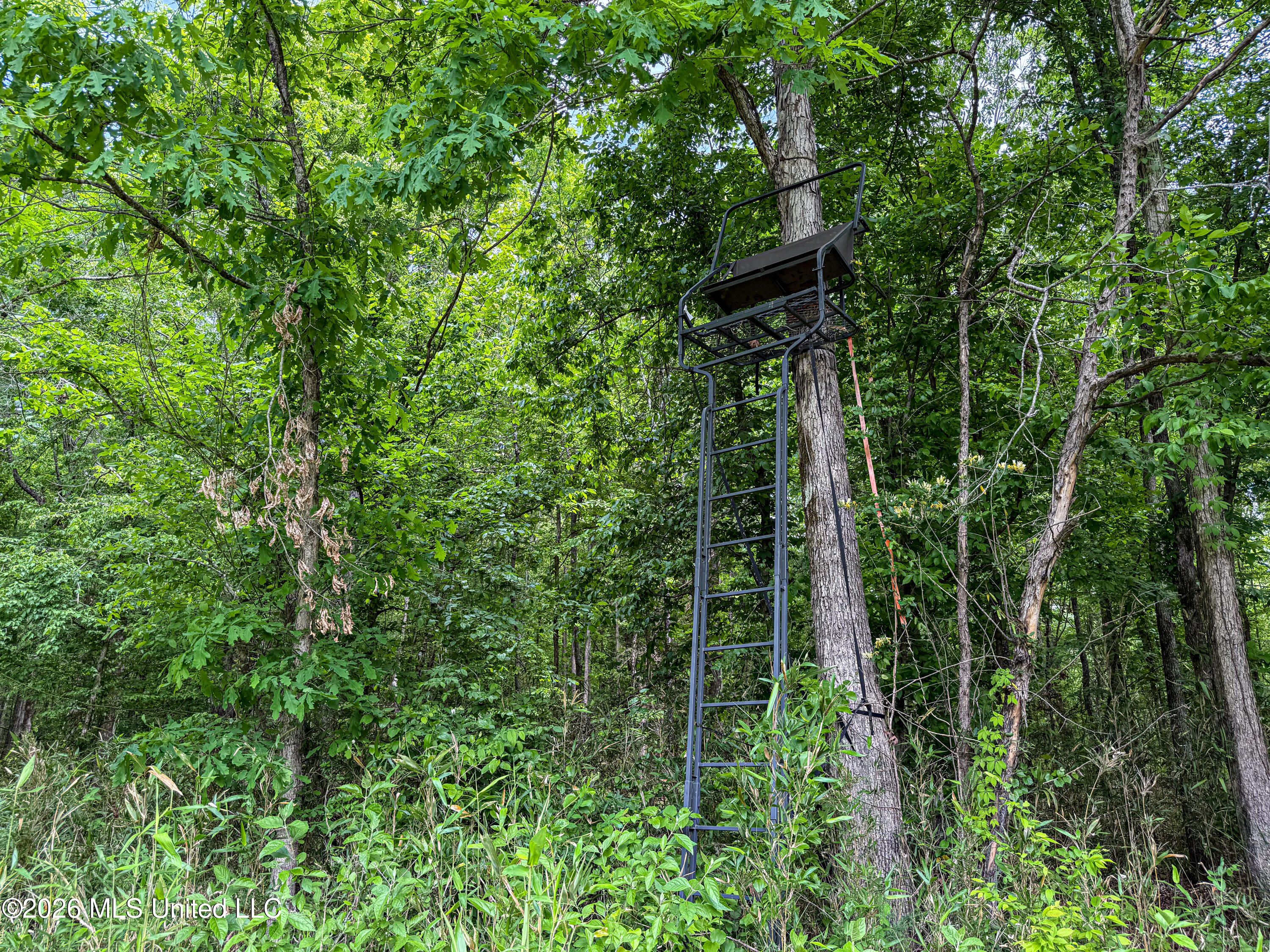106 Crockrell Road Lexington, MS 39095 - Photo 164 of 185 IMG_0732