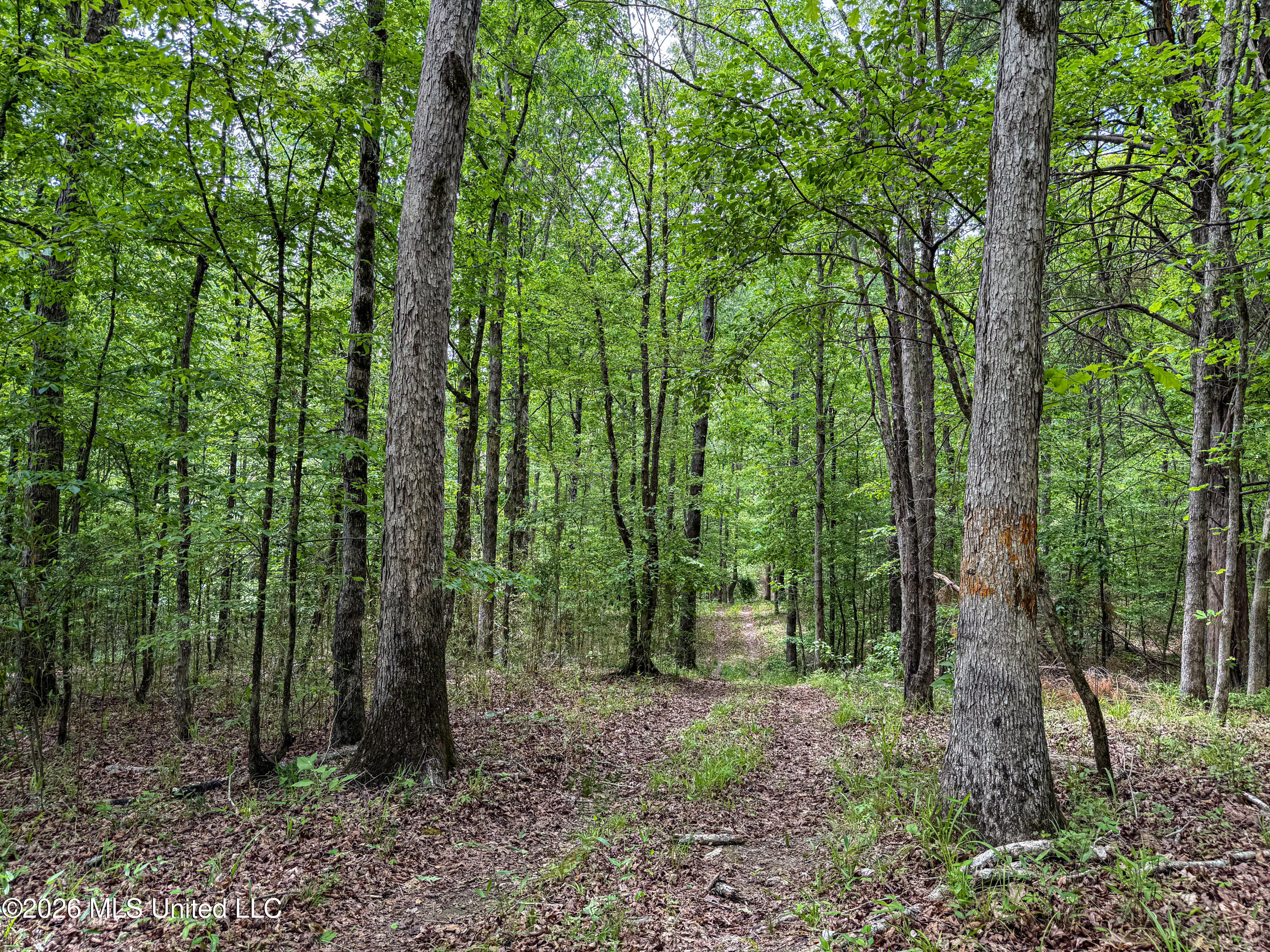 106 Crockrell Road Lexington, MS 39095 - Photo 165 of 185 IMG_0733