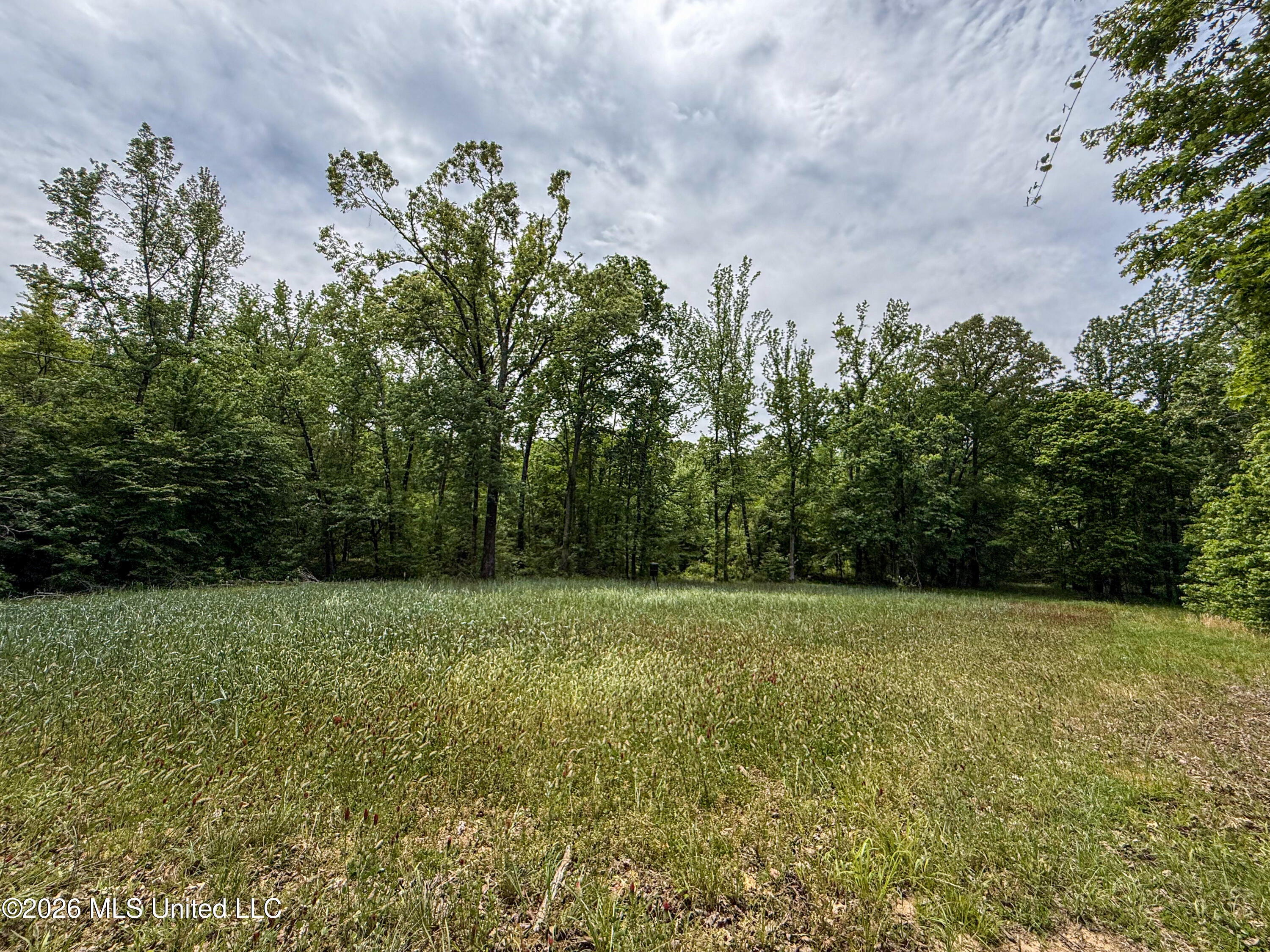 106 Crockrell Road Lexington, MS 39095 - Photo 166 of 185 IMG_0734