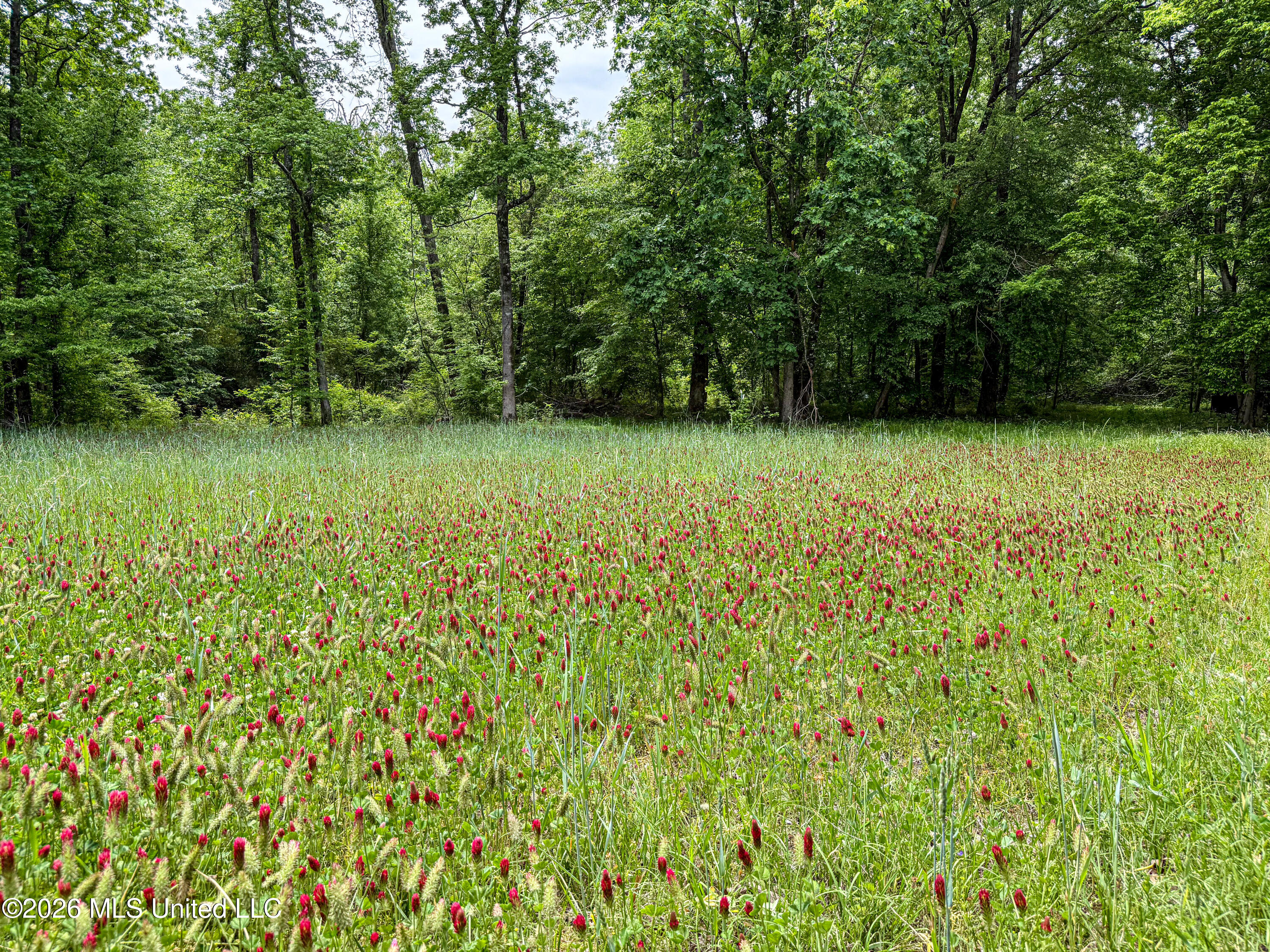 106 Crockrell Road Lexington, MS 39095 - Photo 167 of 185 IMG_0735