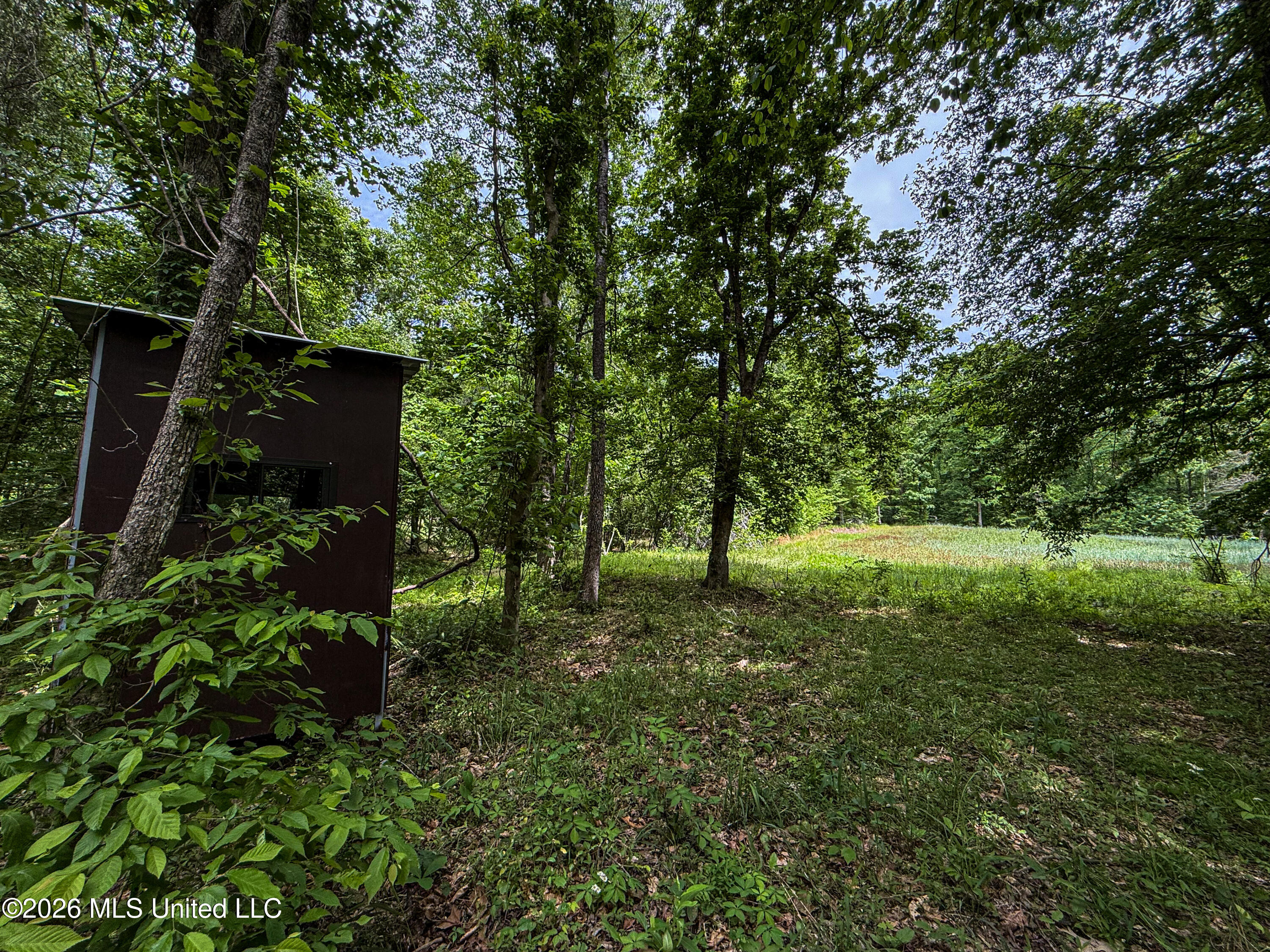 106 Crockrell Road Lexington, MS 39095 - Photo 168 of 185 IMG_0738