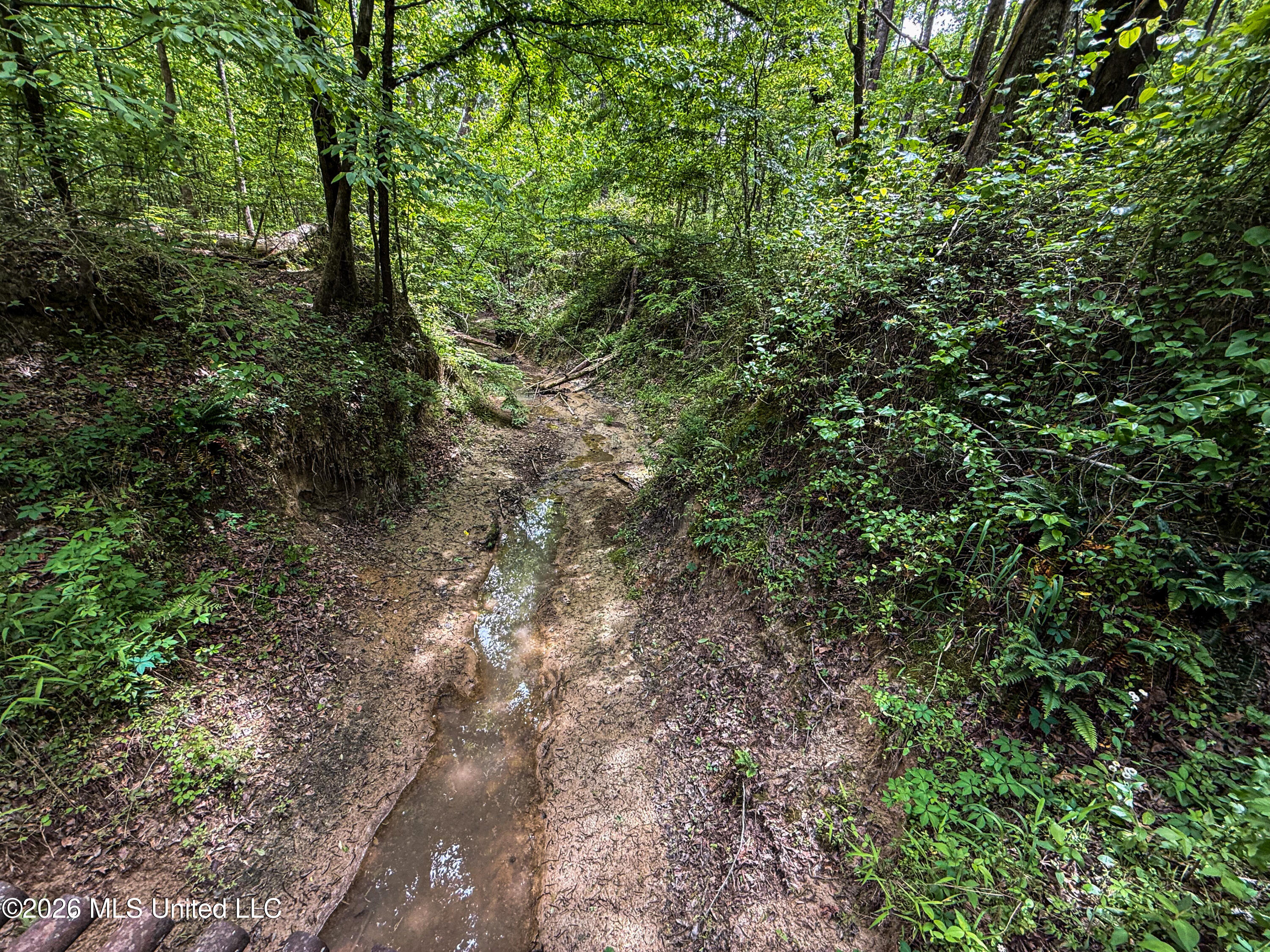 106 Crockrell Road Lexington, MS 39095 - Photo 169 of 185 IMG_0739