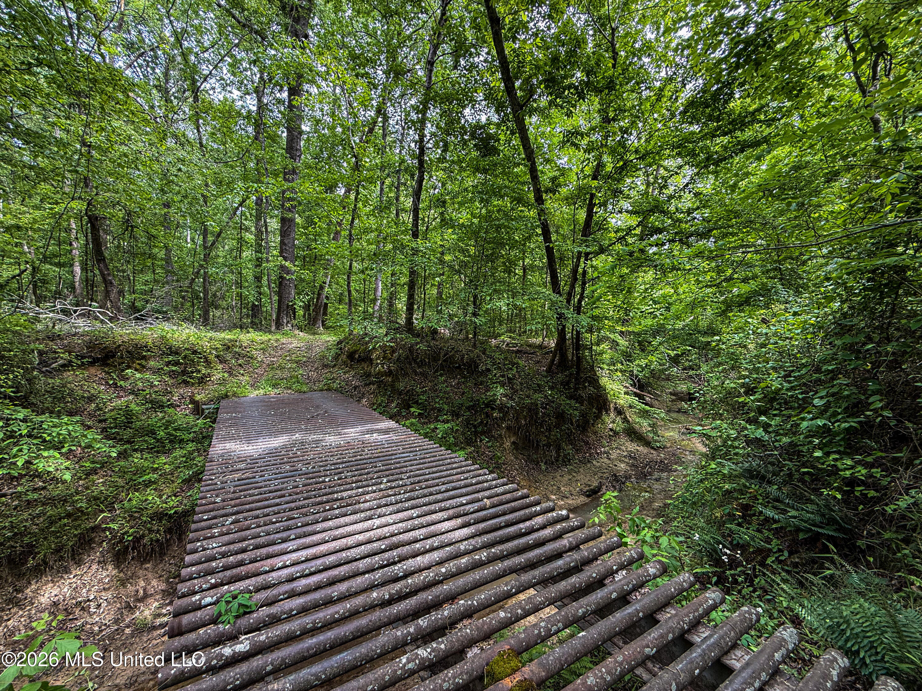 106 Crockrell Road Lexington, MS 39095 - Photo 170 of 185 IMG_0740