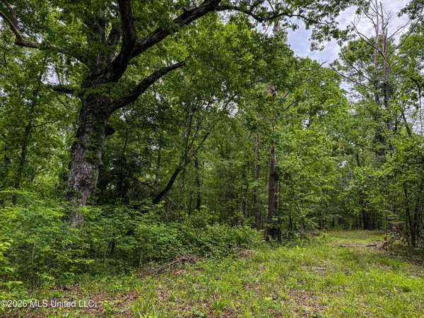 $650,000 | 106 Crockrell Road, Lexington, MS 39095