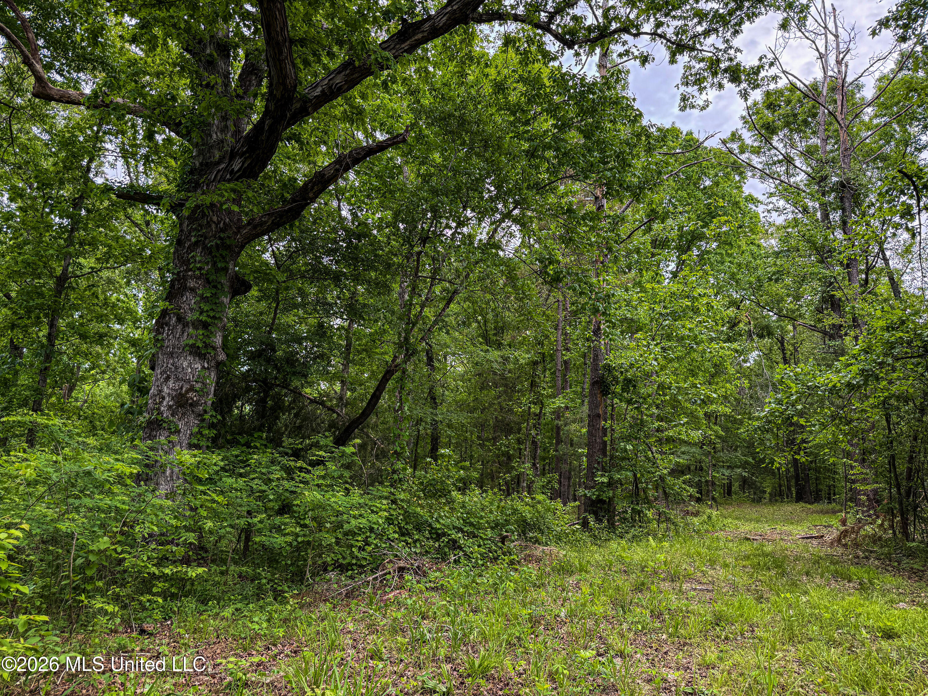 106 Crockrell Road Lexington, MS 39095 - Photo 171 of 185 IMG_0741