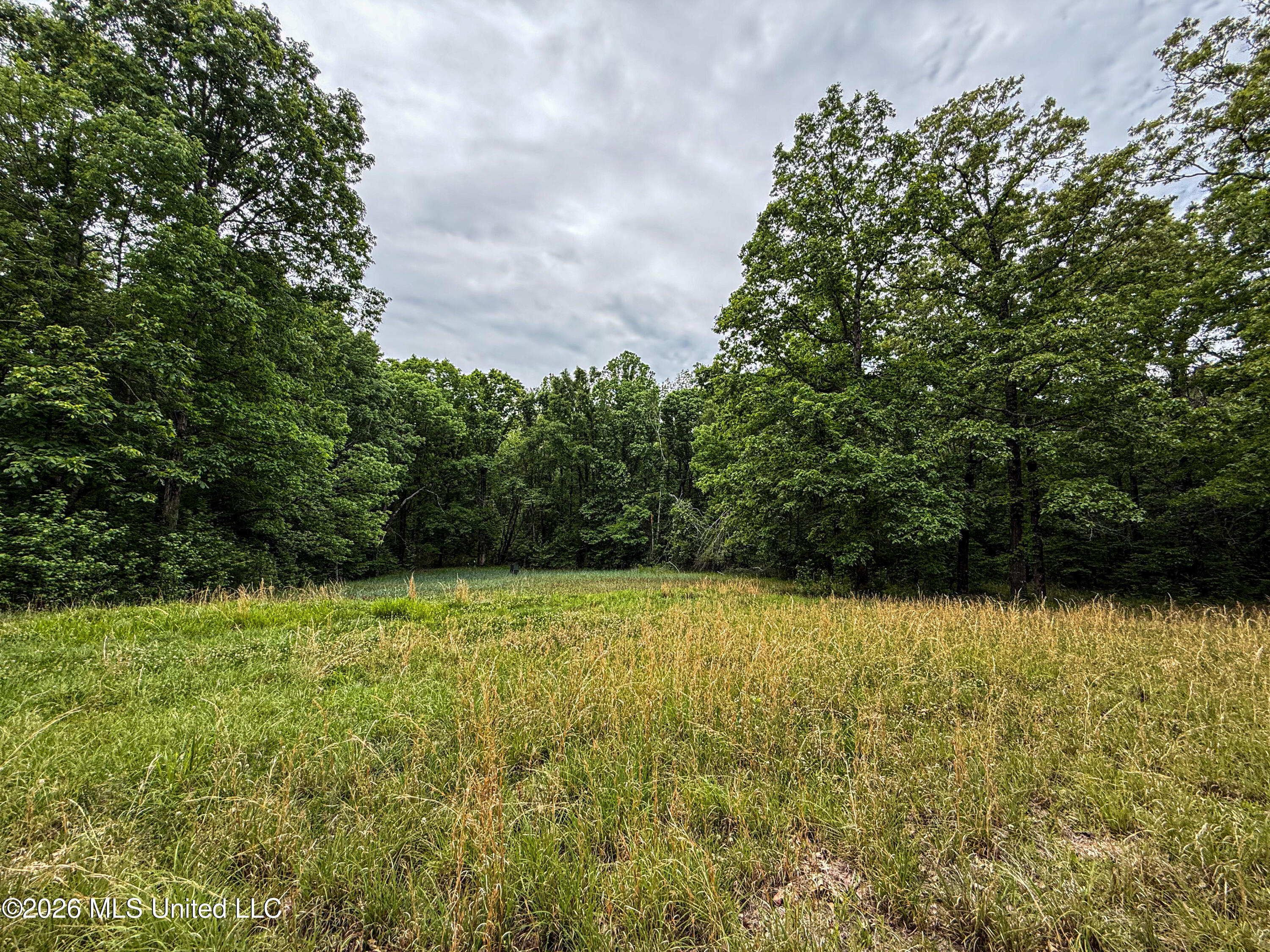 106 Crockrell Road Lexington, MS 39095 - Photo 172 of 185 IMG_0742