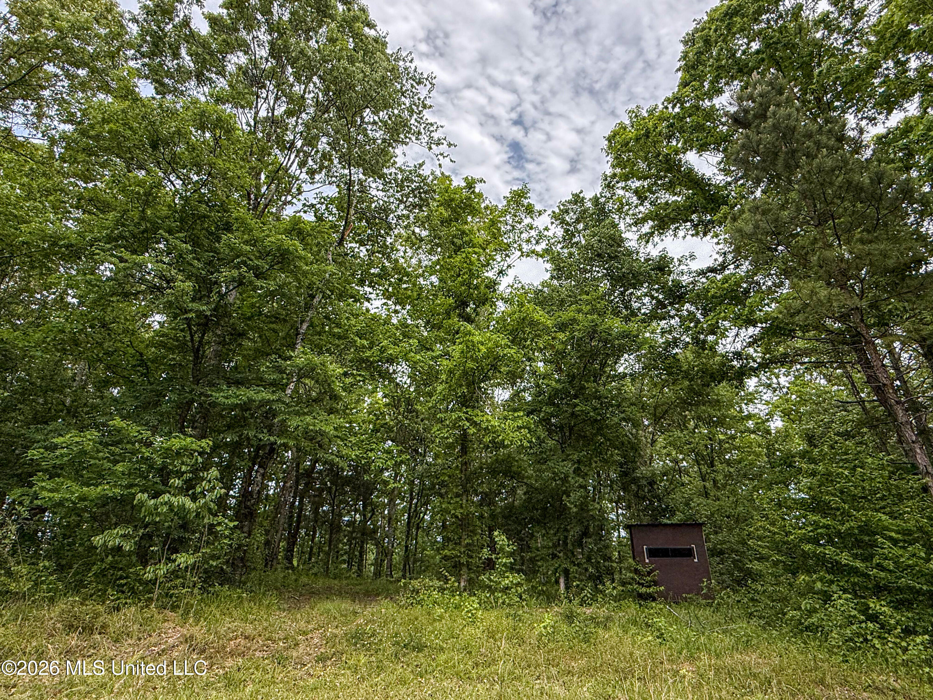 106 Crockrell Road Lexington, MS 39095 - Photo 173 of 185 IMG_0743