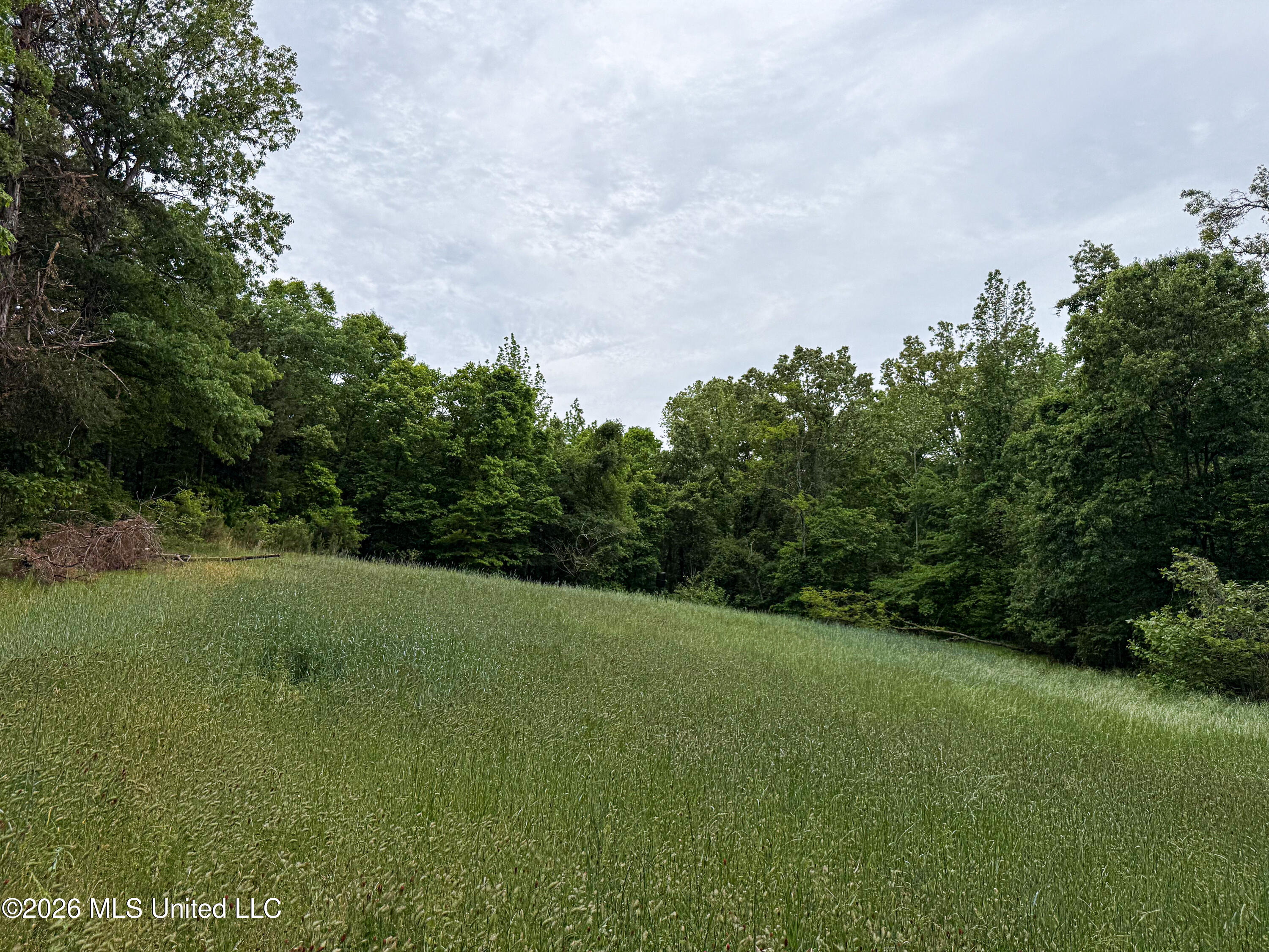 106 Crockrell Road Lexington, MS 39095 - Photo 174 of 185 IMG_0744