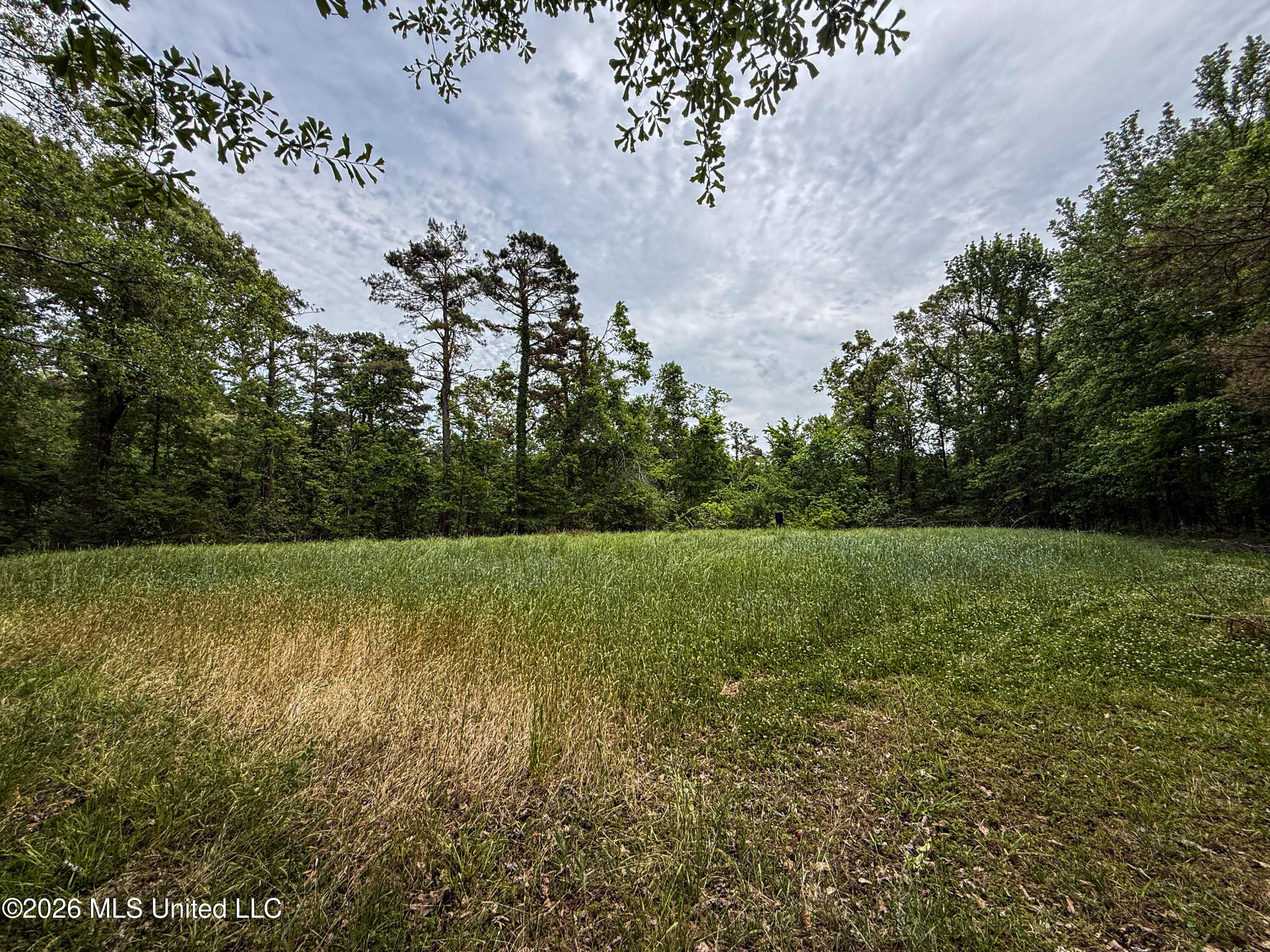 106 Crockrell Road Lexington, MS 39095 - Photo 175 of 185 IMG_0745