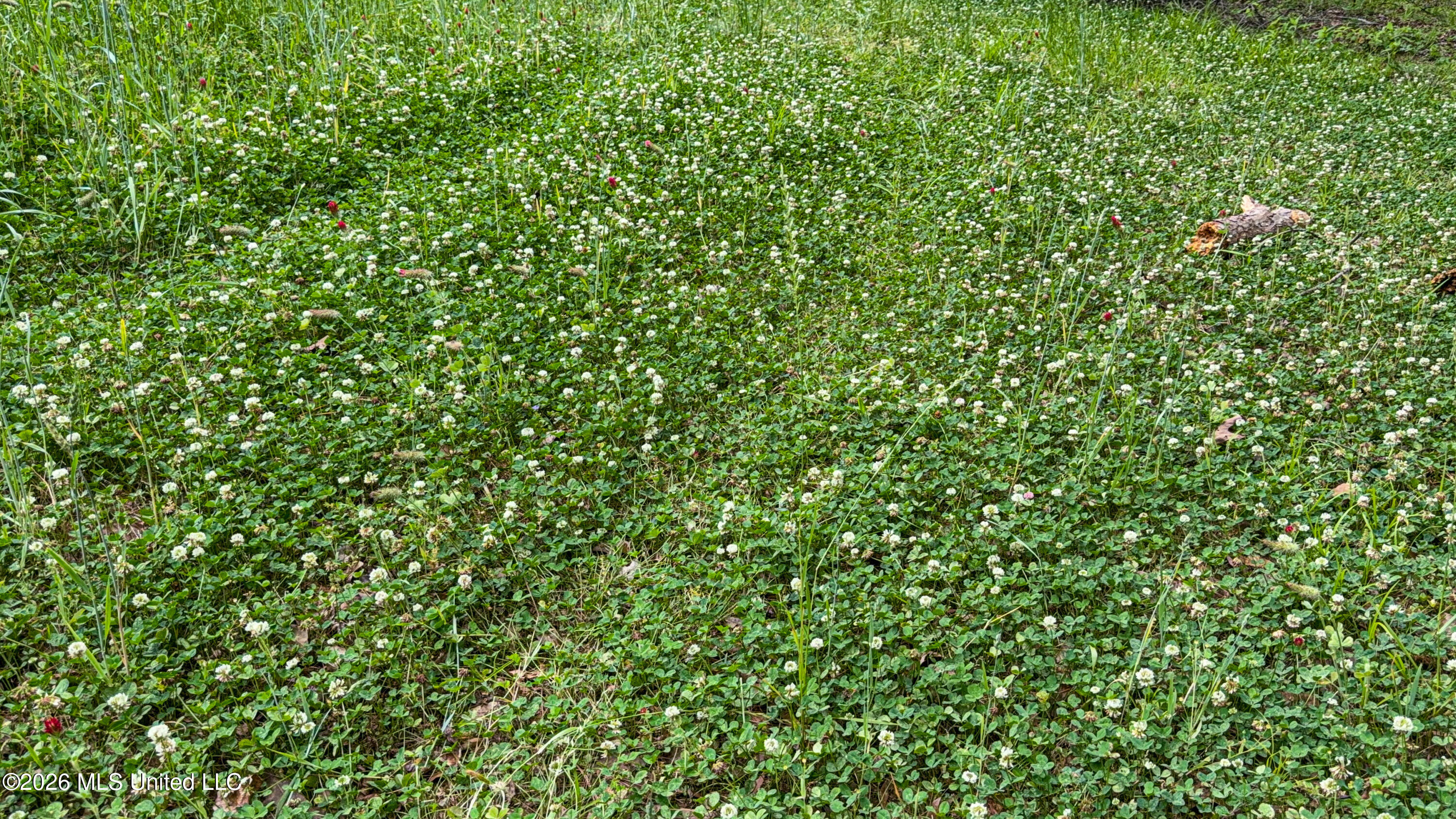 106 Crockrell Road Lexington, MS 39095 - Photo 176 of 185 IMG_0746