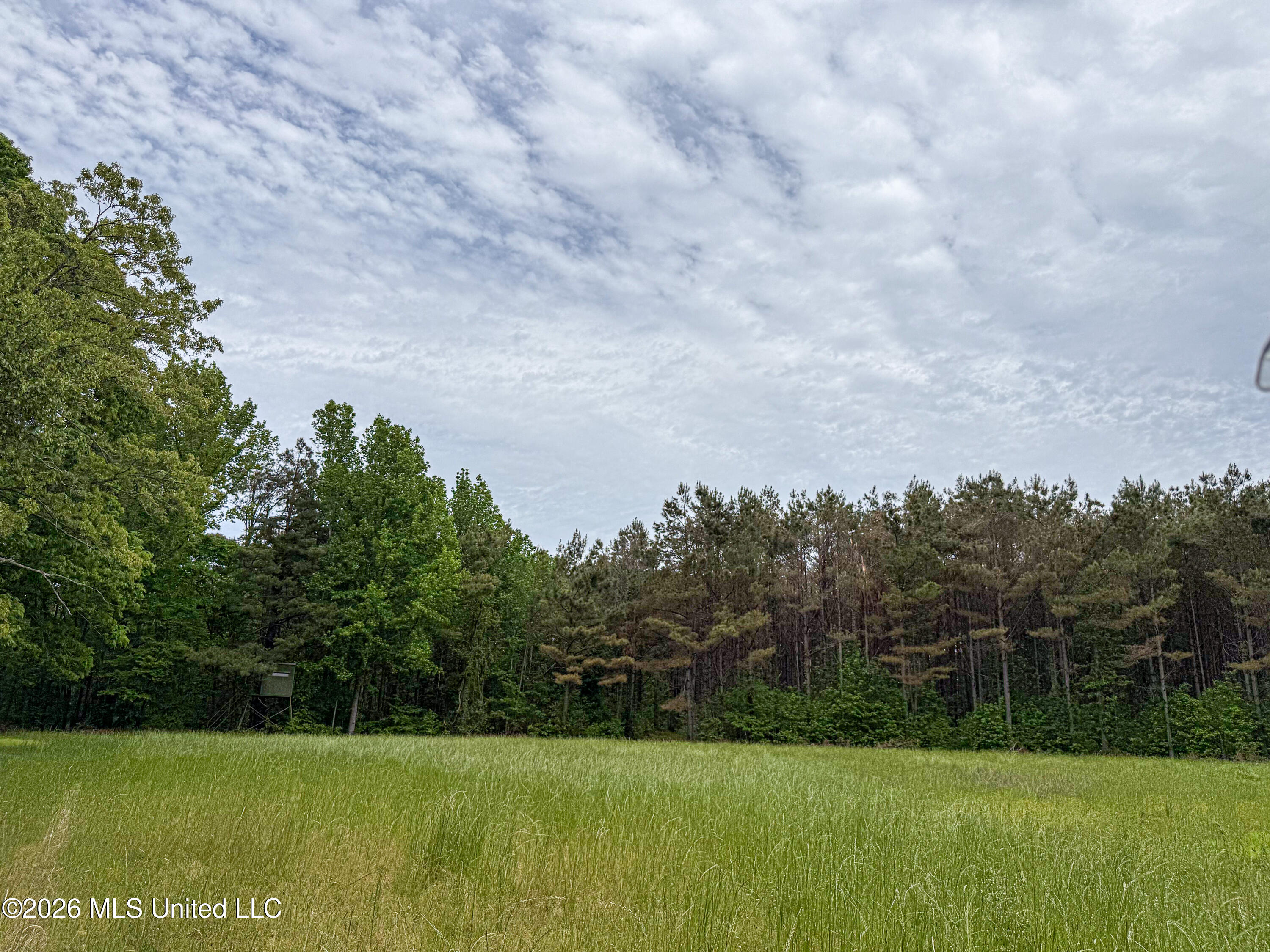 106 Crockrell Road Lexington, MS 39095 - Photo 177 of 185 IMG_0749