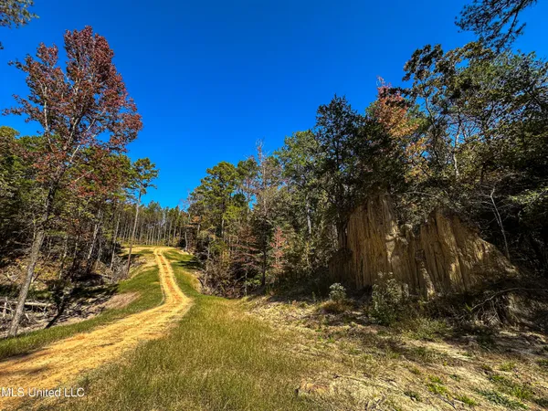 $650,000 | 106 Crockrell Road, Lexington, MS 39095