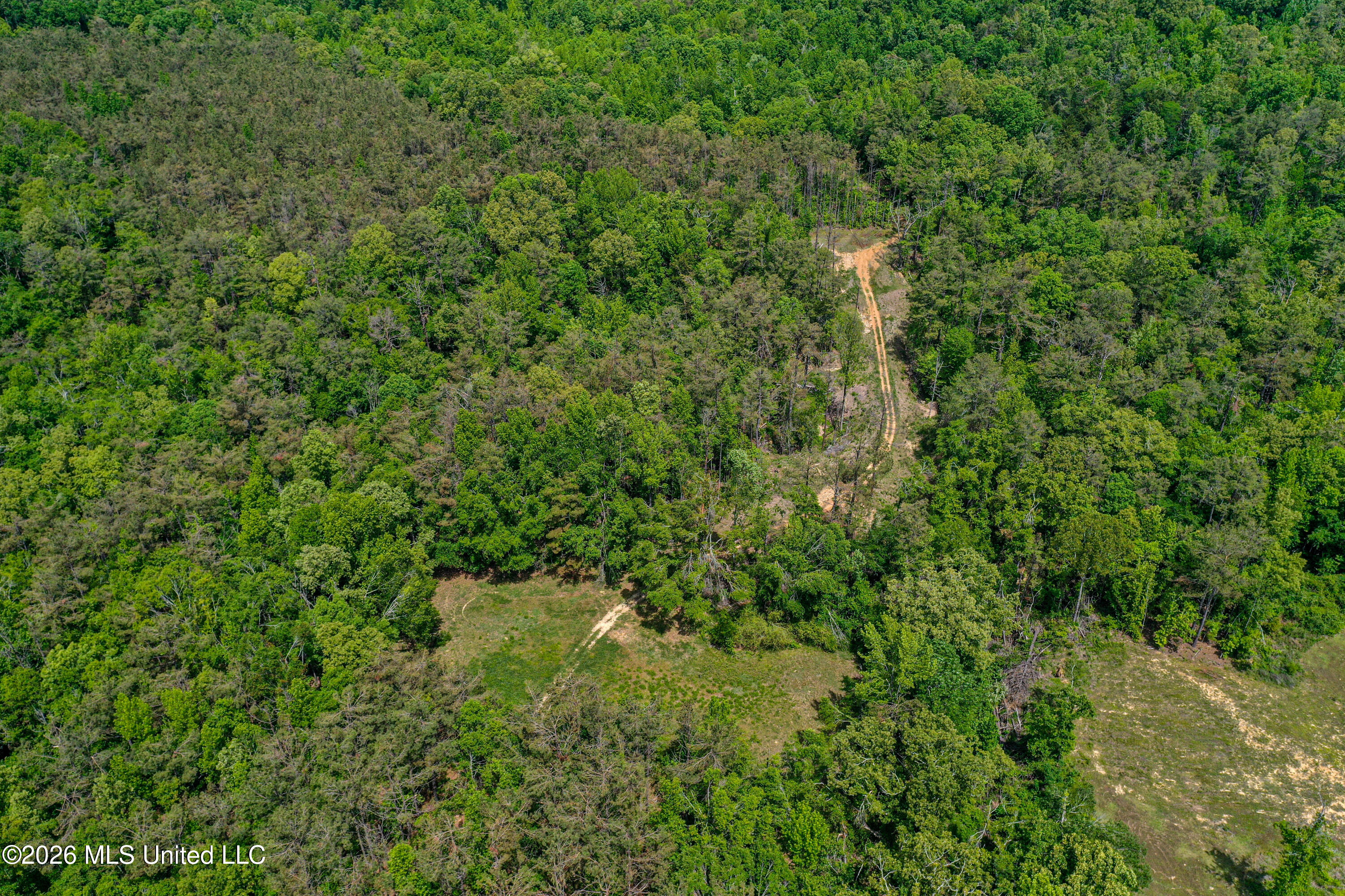106 Crockrell Road Lexington, MS 39095 - Photo 21 of 185 DJI_0682