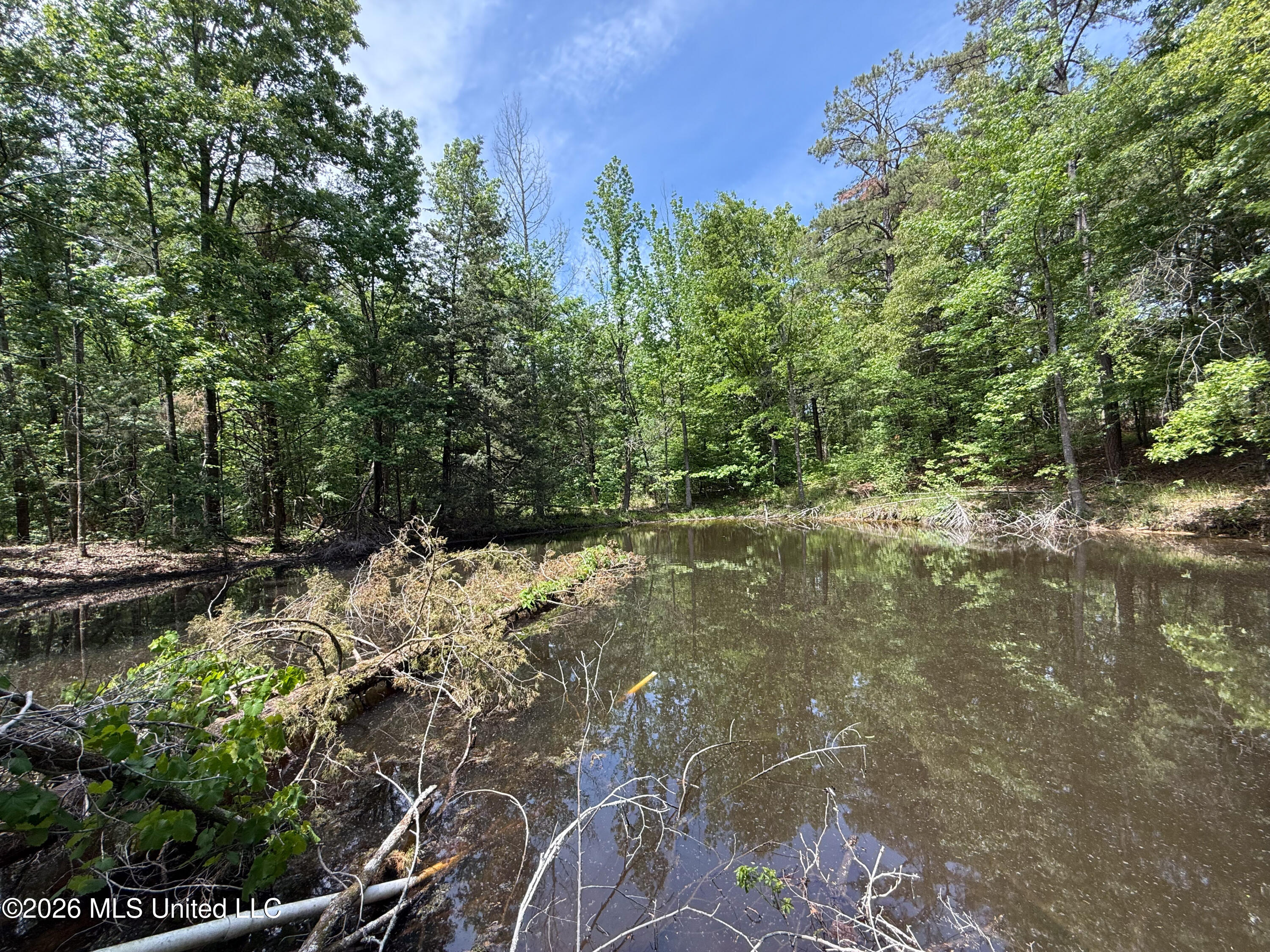 106 Crockrell Road Lexington, MS 39095 - Photo 24 of 185 IMG_0724