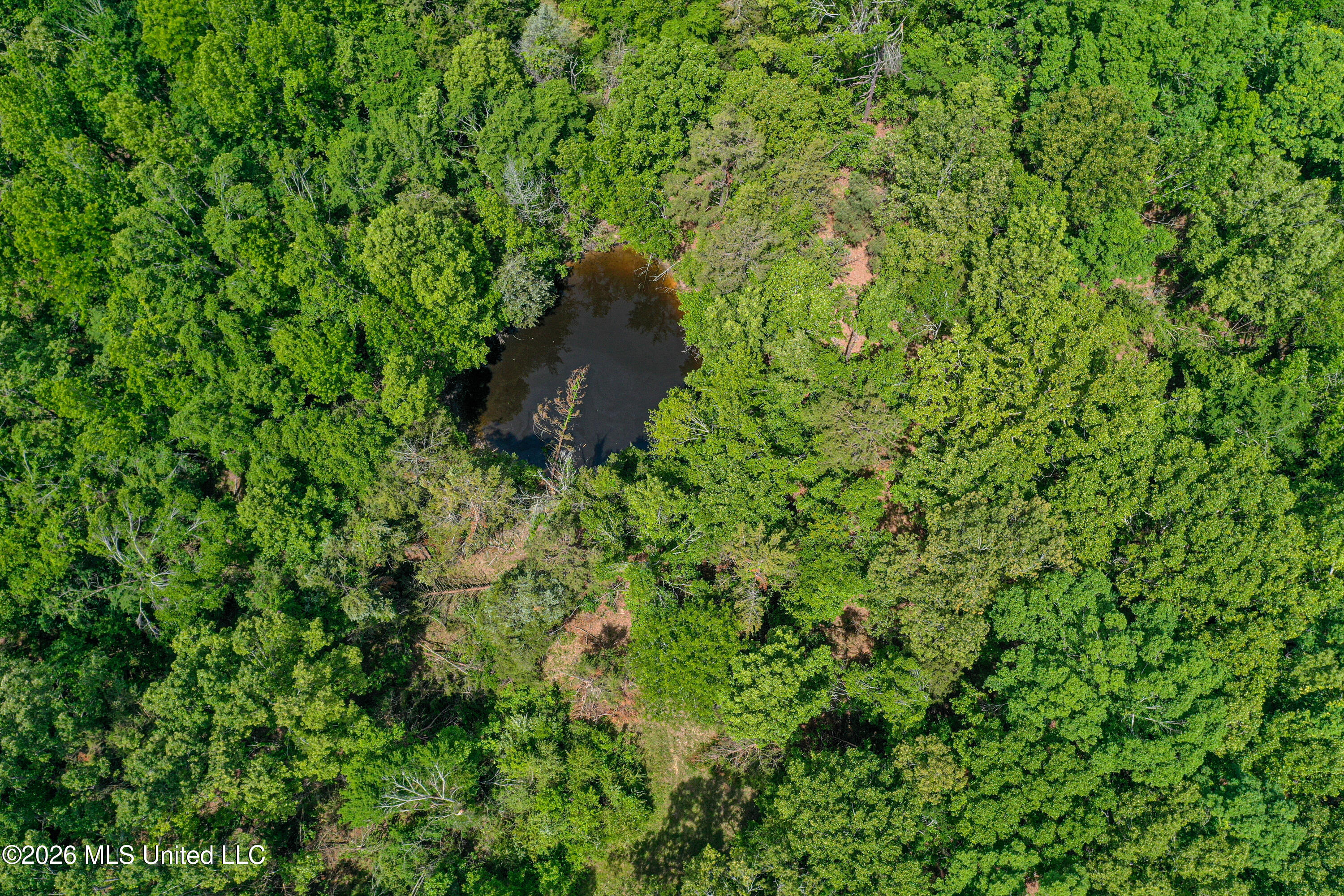 106 Crockrell Road Lexington, MS 39095 - Photo 25 of 185 DJI_0685