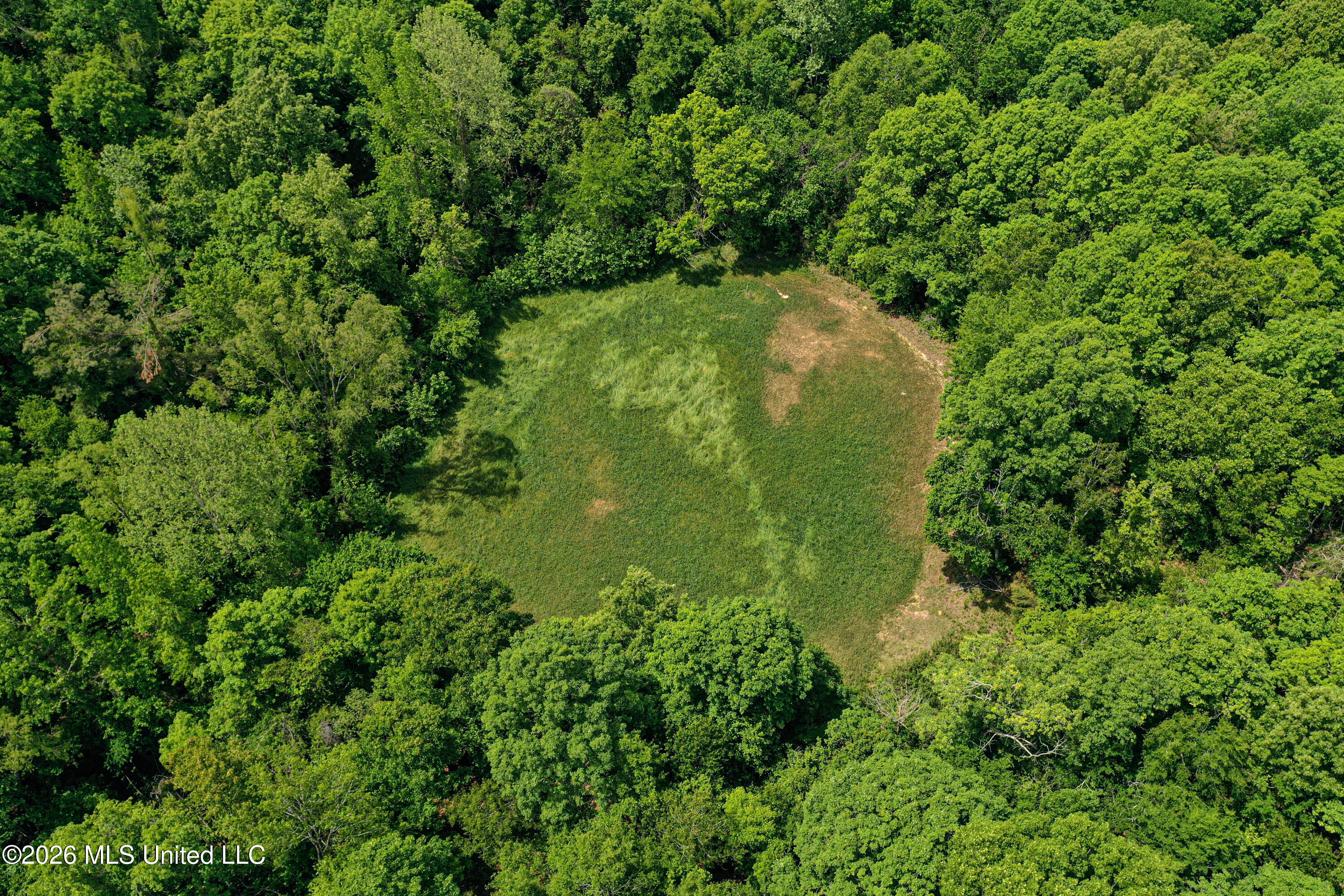 106 Crockrell Road Lexington, MS 39095 - Photo 27 of 185 DJI_0689