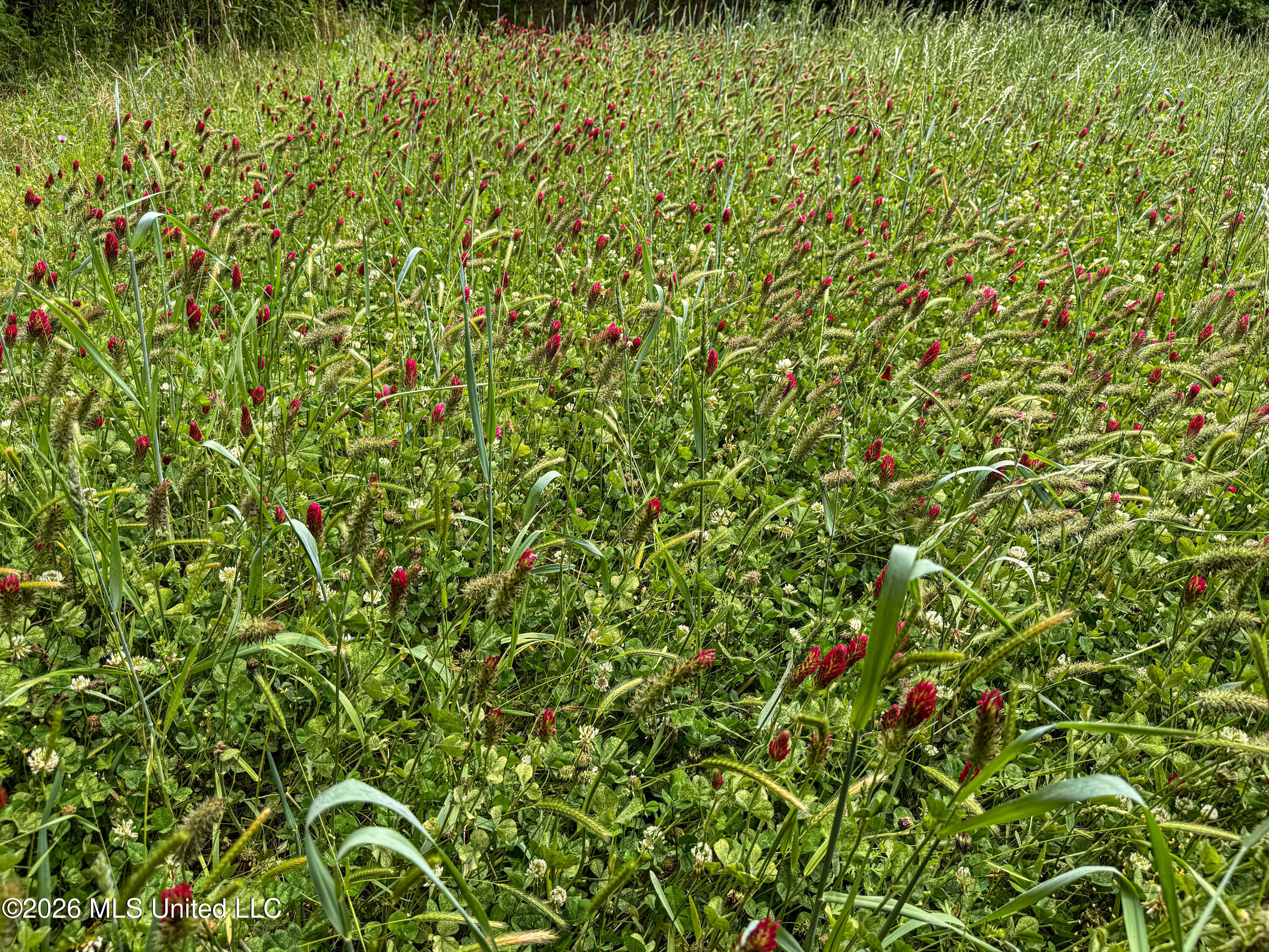 106 Crockrell Road Lexington, MS 39095 - Photo 30 of 185 IMG_0731