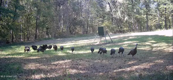 $650,000 | 106 Crockrell Road, Lexington, MS 39095
