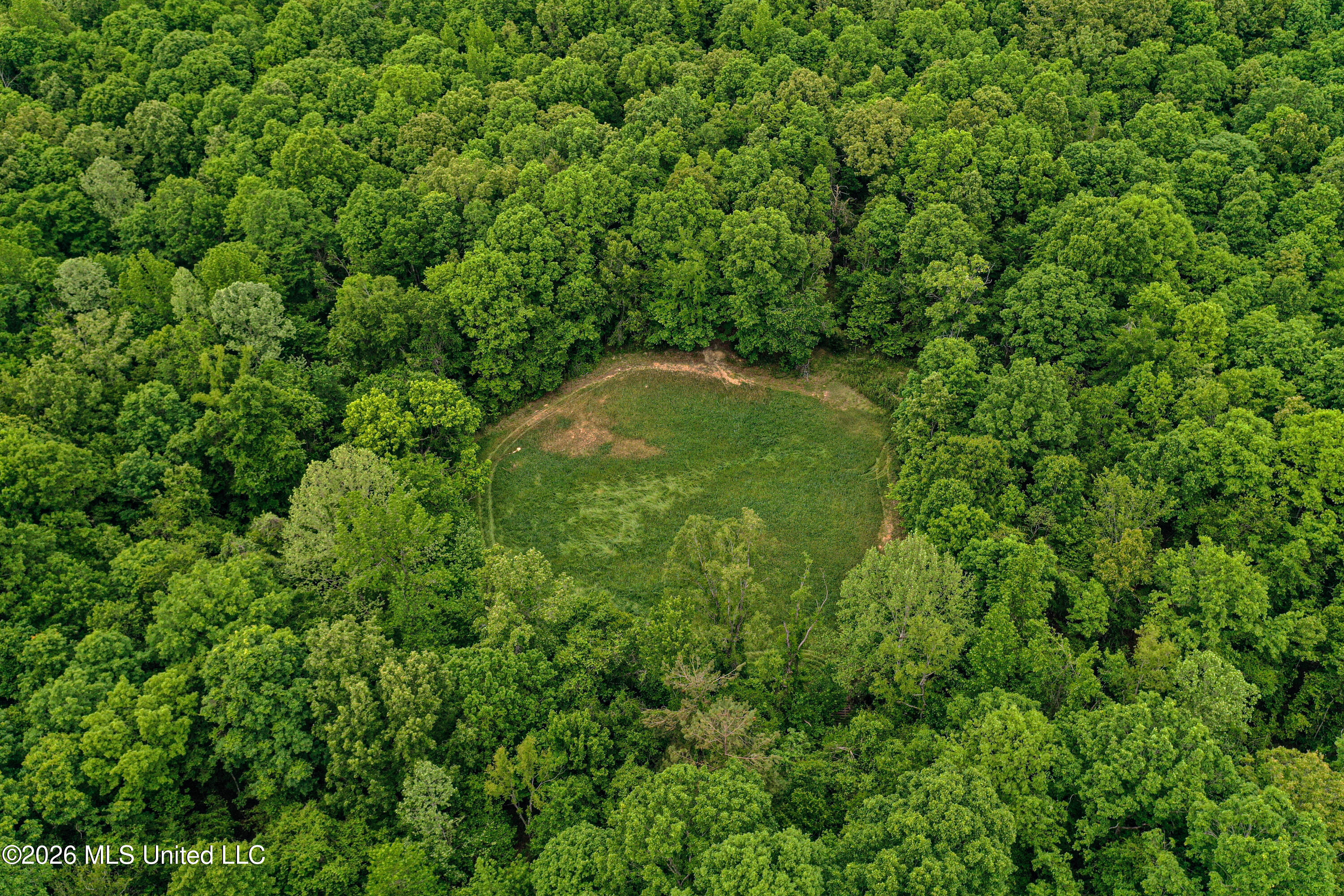106 Crockrell Road Lexington, MS 39095 - Photo 32 of 185 DJI_0700