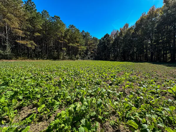$650,000 | 106 Crockrell Road, Lexington, MS 39095