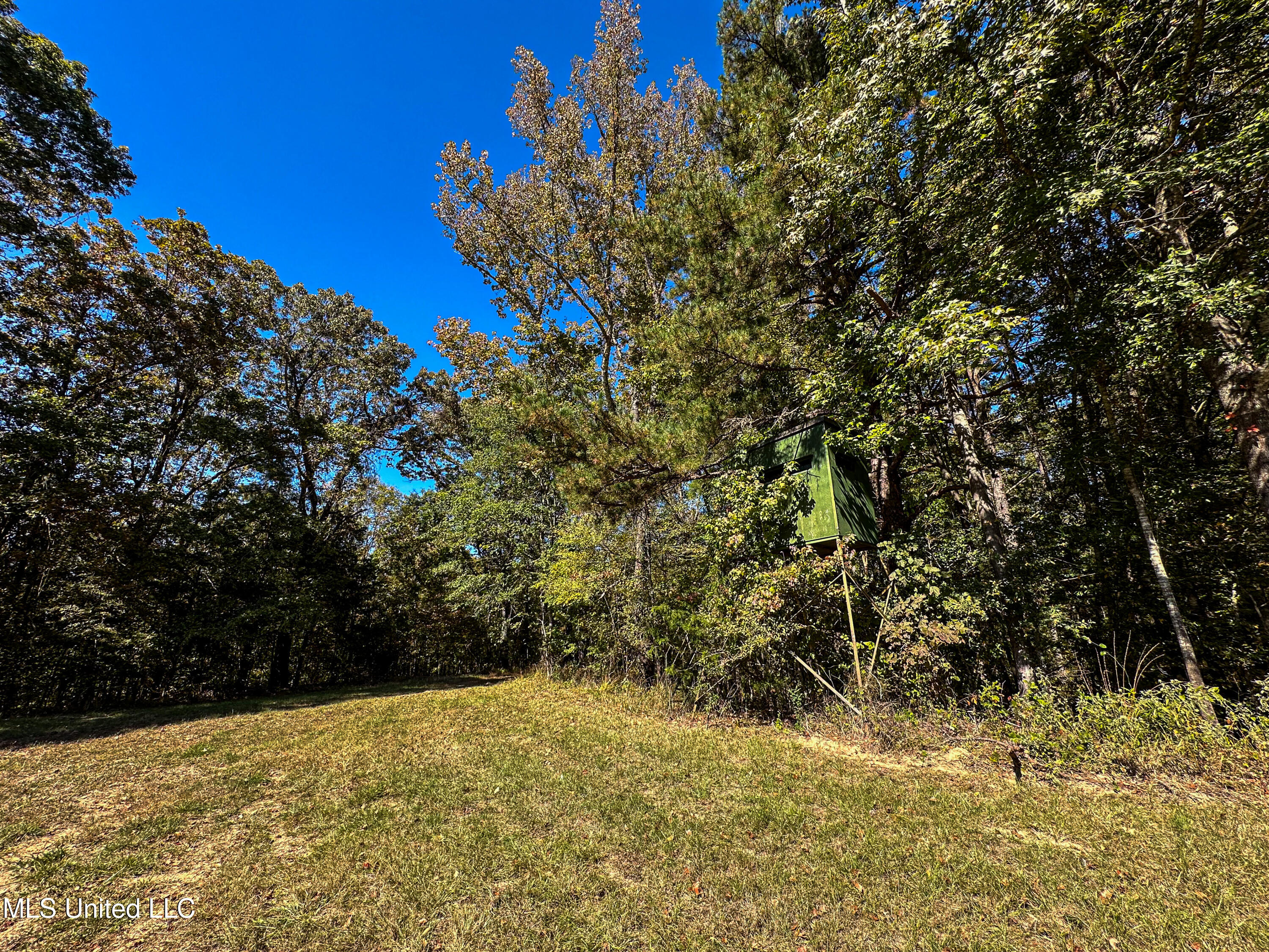 106 Crockrell Road Lexington, MS 39095 - Photo 36 of 185 IMG_0388