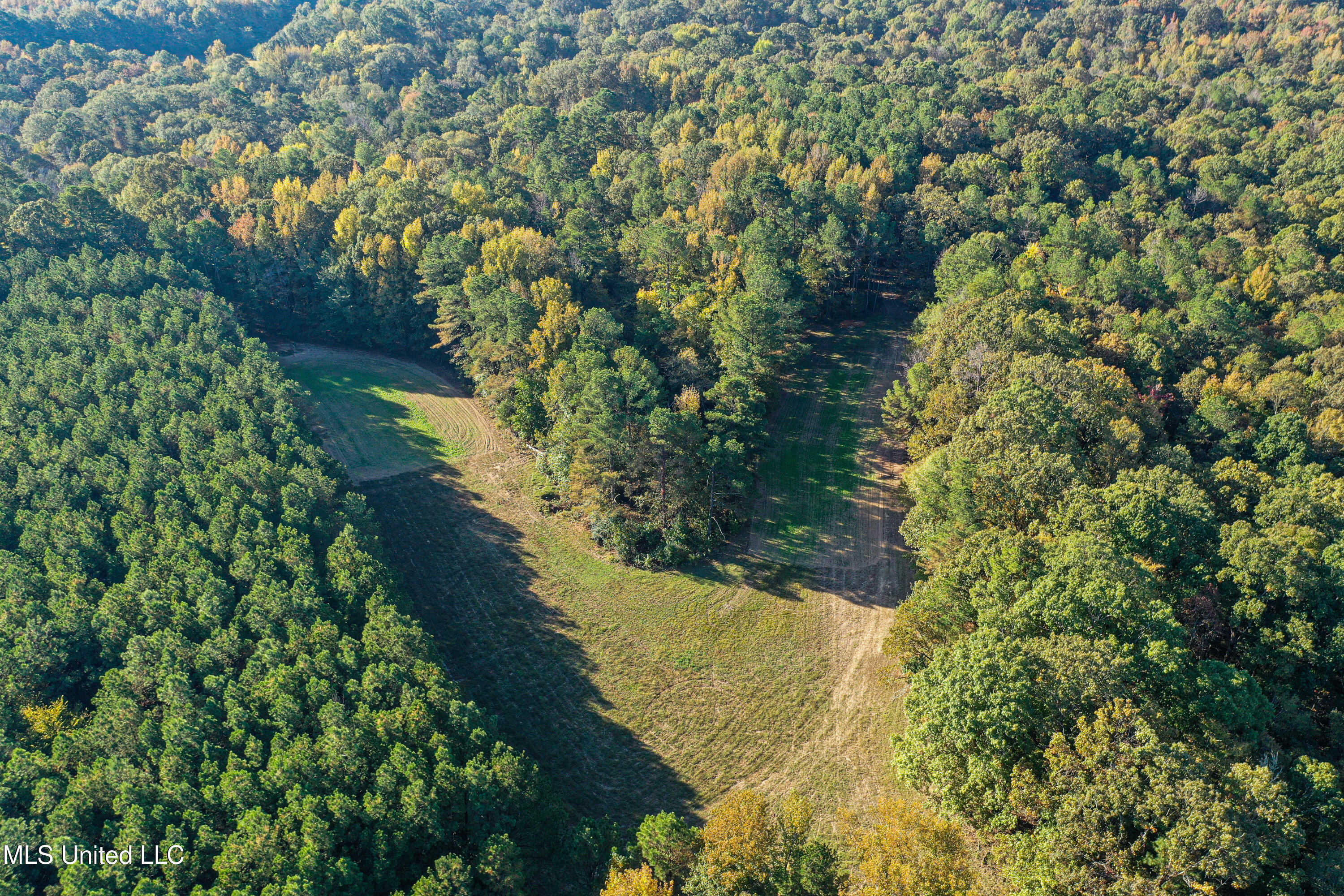106 Crockrell Road Lexington, MS 39095 - Photo 37 of 185 DJI_0180