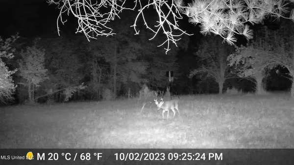 $650,000 | 106 Crockrell Road, Lexington, MS 39095
