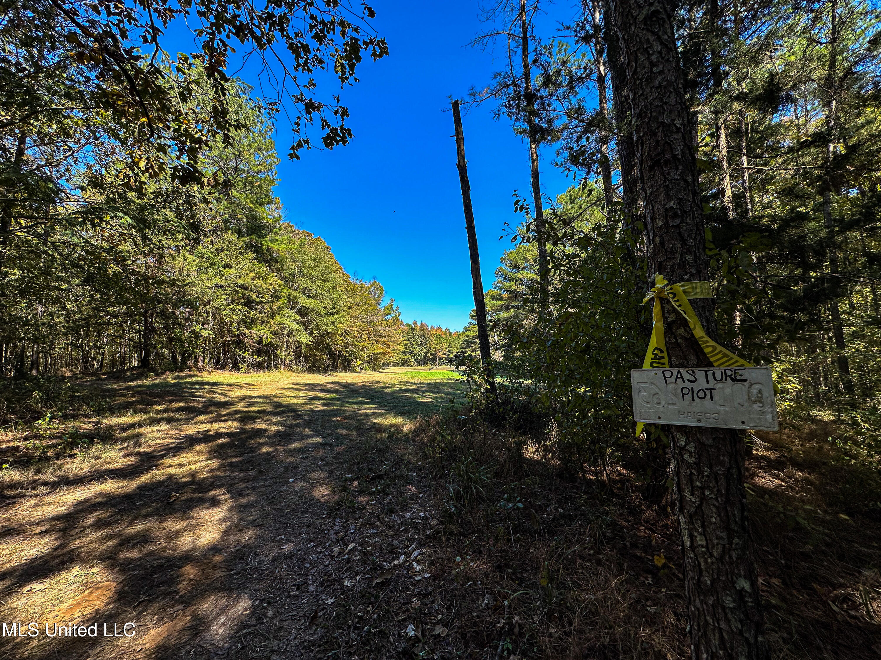 106 Crockrell Road Lexington, MS 39095 - Photo 39 of 185 IMG_0386
