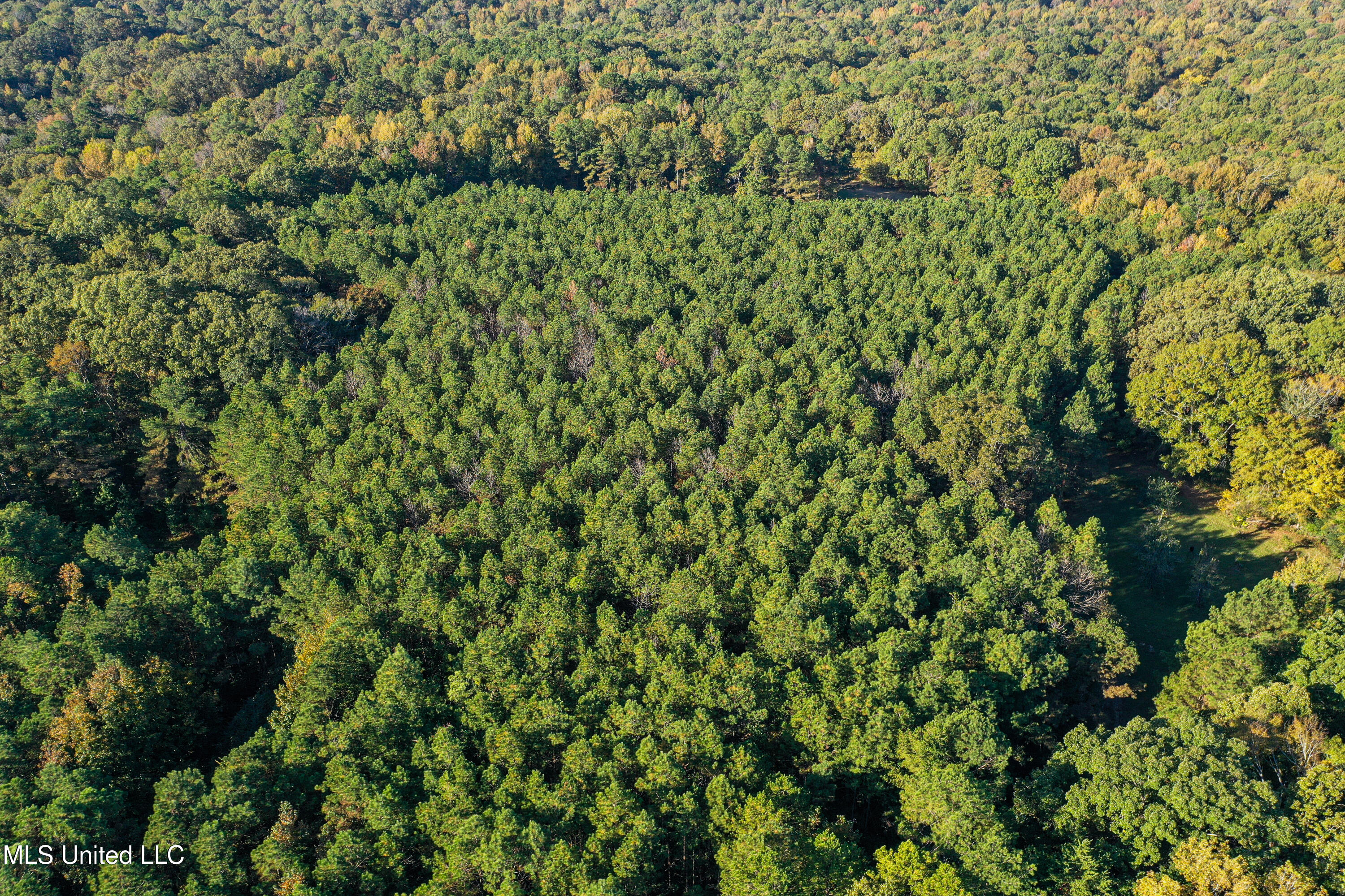 106 Crockrell Road Lexington, MS 39095 - Photo 40 of 185 DJI_0176