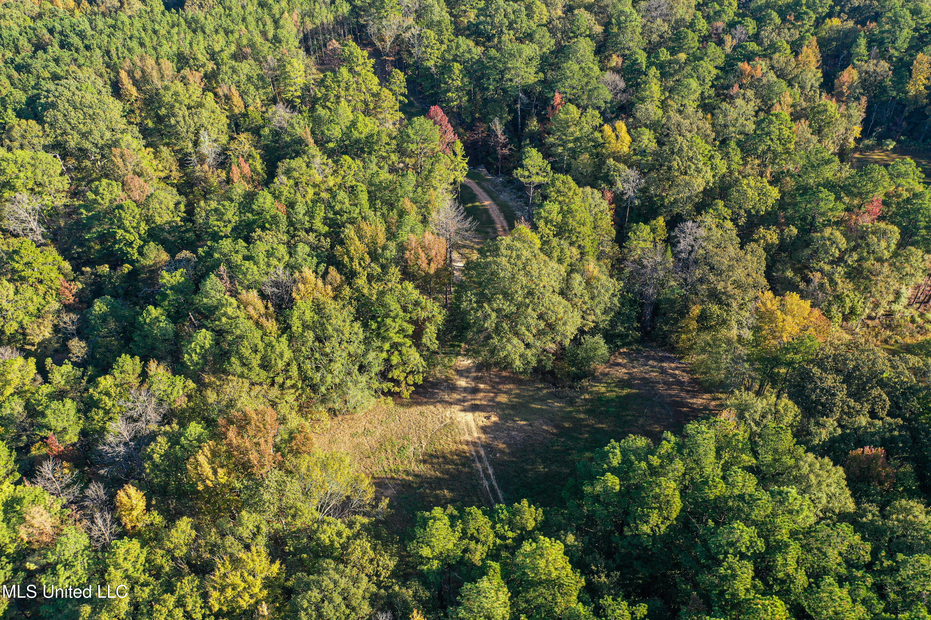 106 Crockrell Road Lexington, MS 39095 - Photo 42 of 185 DJI_0174