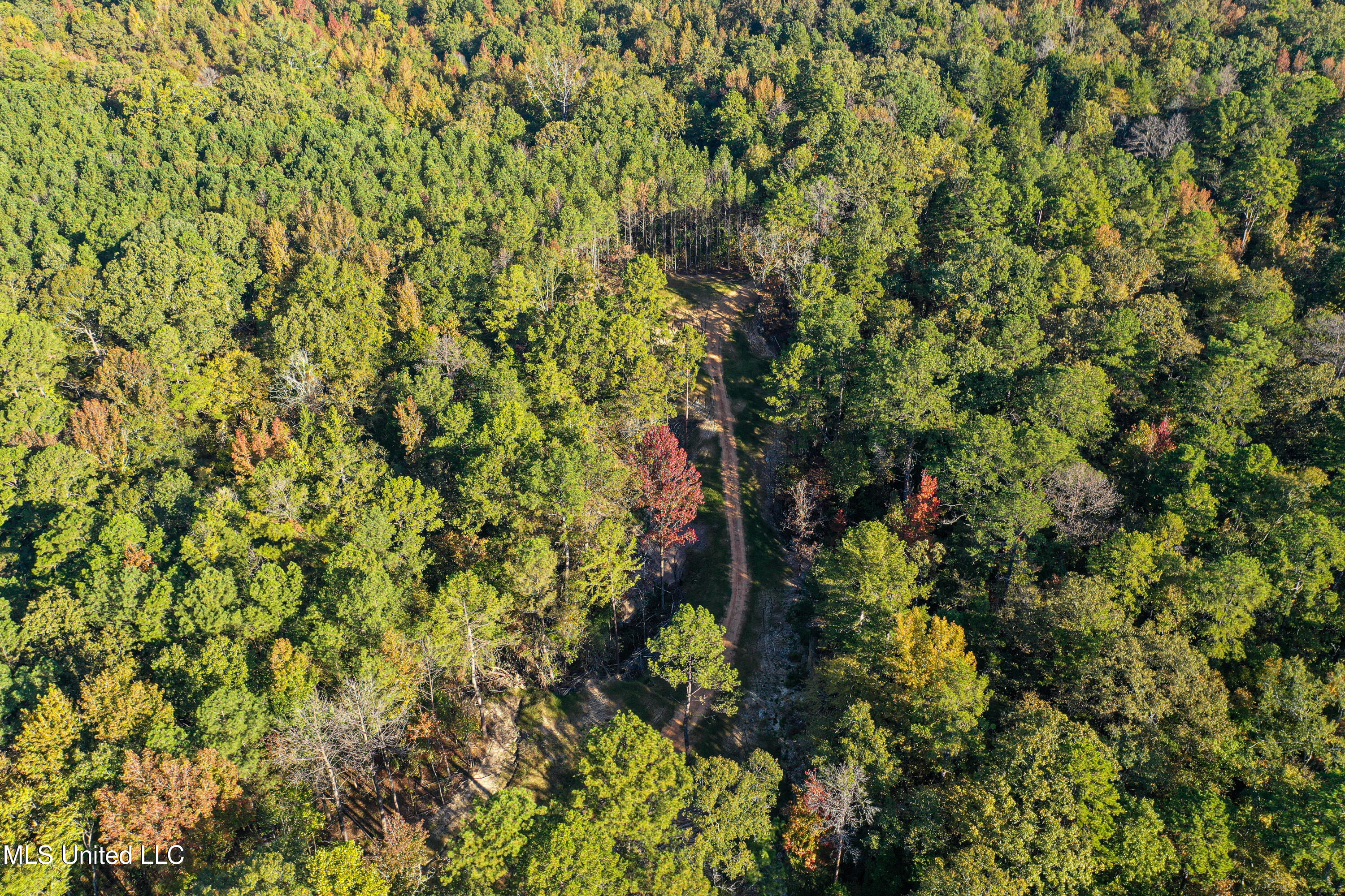 106 Crockrell Road Lexington, MS 39095 - Photo 44 of 185 DJI_0175