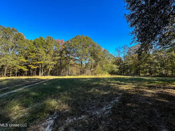$650,000 | 106 Crockrell Road, Lexington, MS 39095