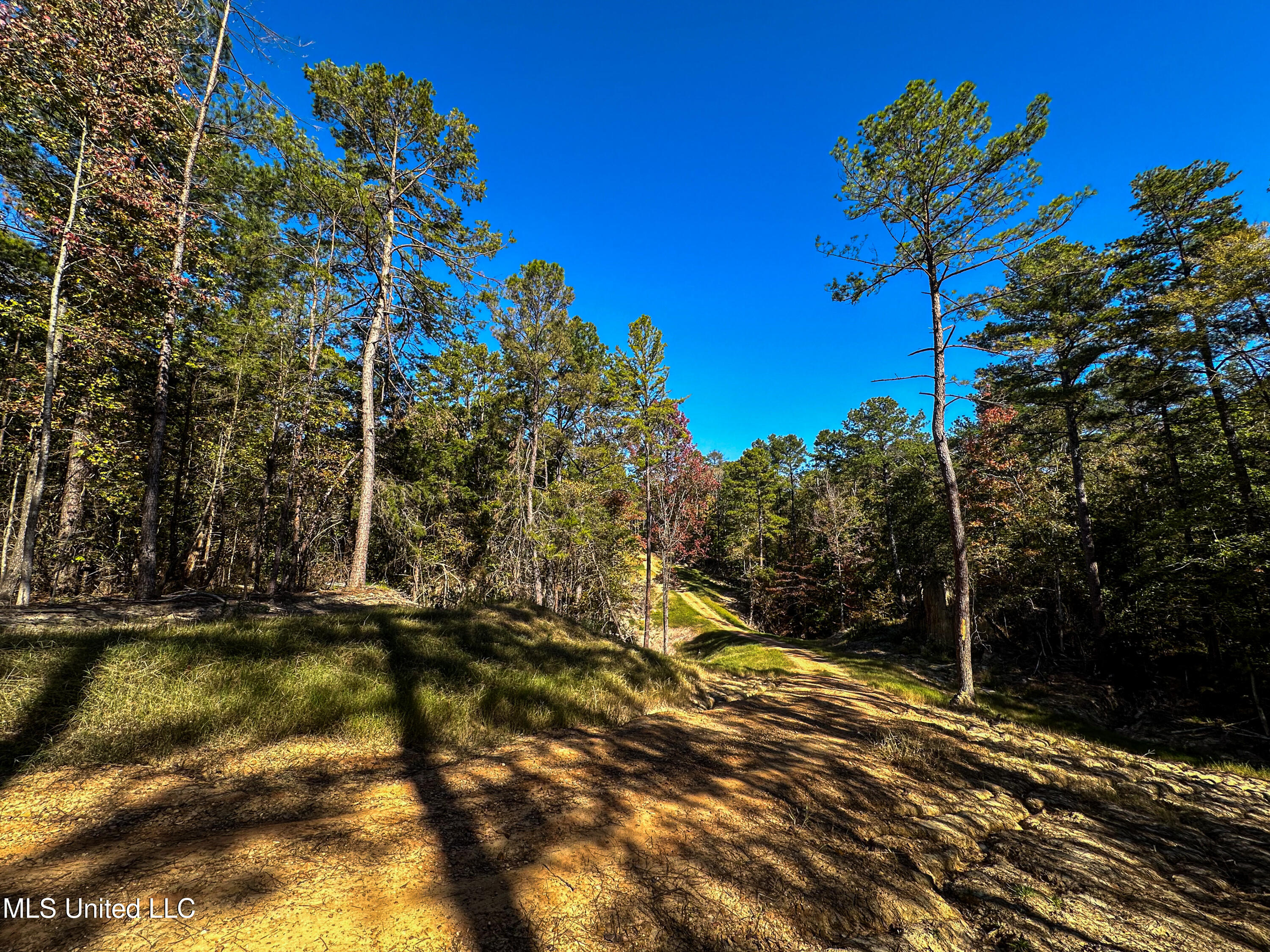 106 Crockrell Road Lexington, MS 39095 - Photo 47 of 185 IMG_0341