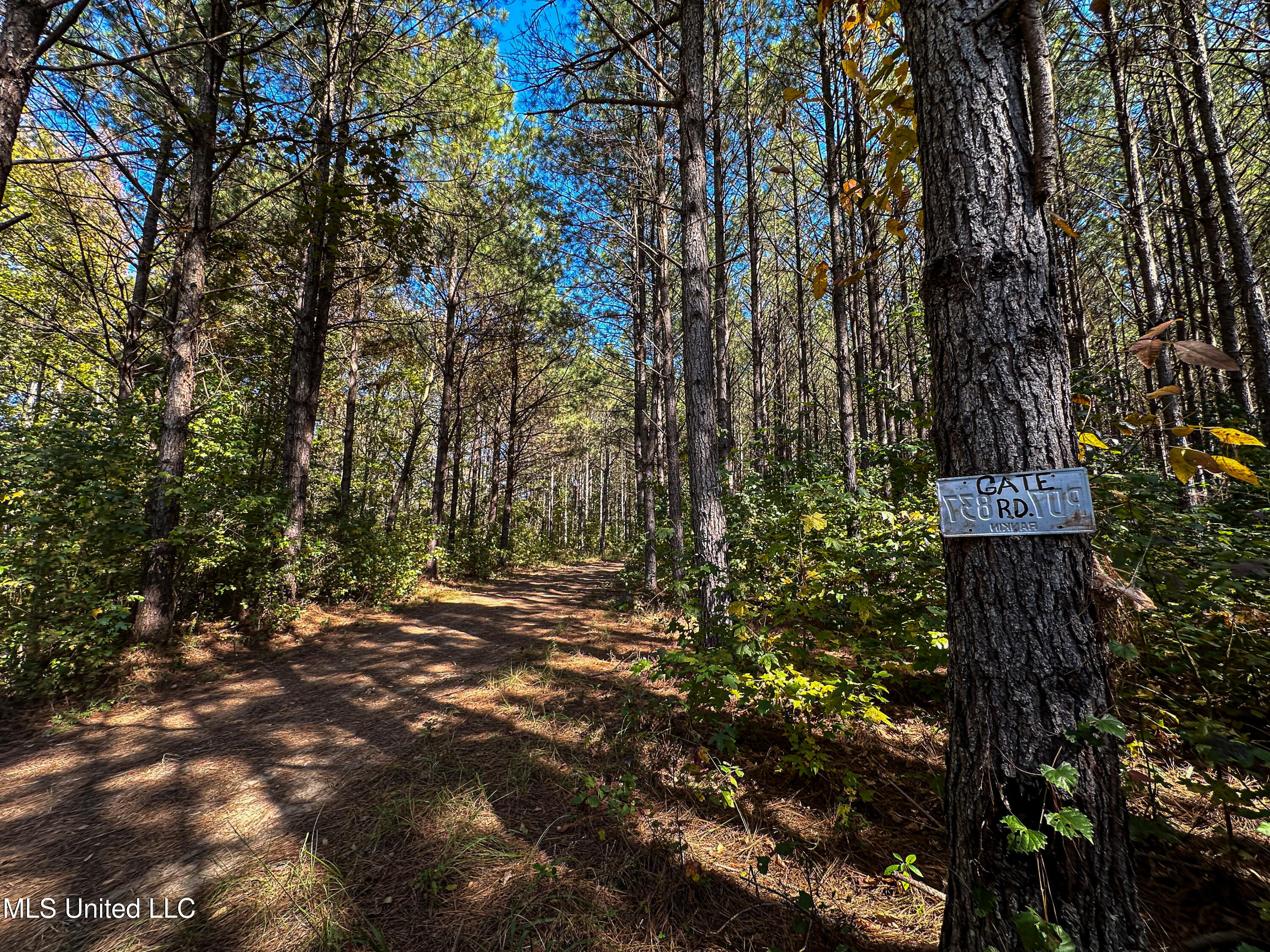106 Crockrell Road Lexington, MS 39095 - Photo 48 of 185 IMG_0389