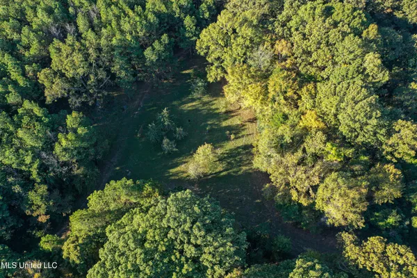$650,000 | 106 Crockrell Road, Lexington, MS 39095