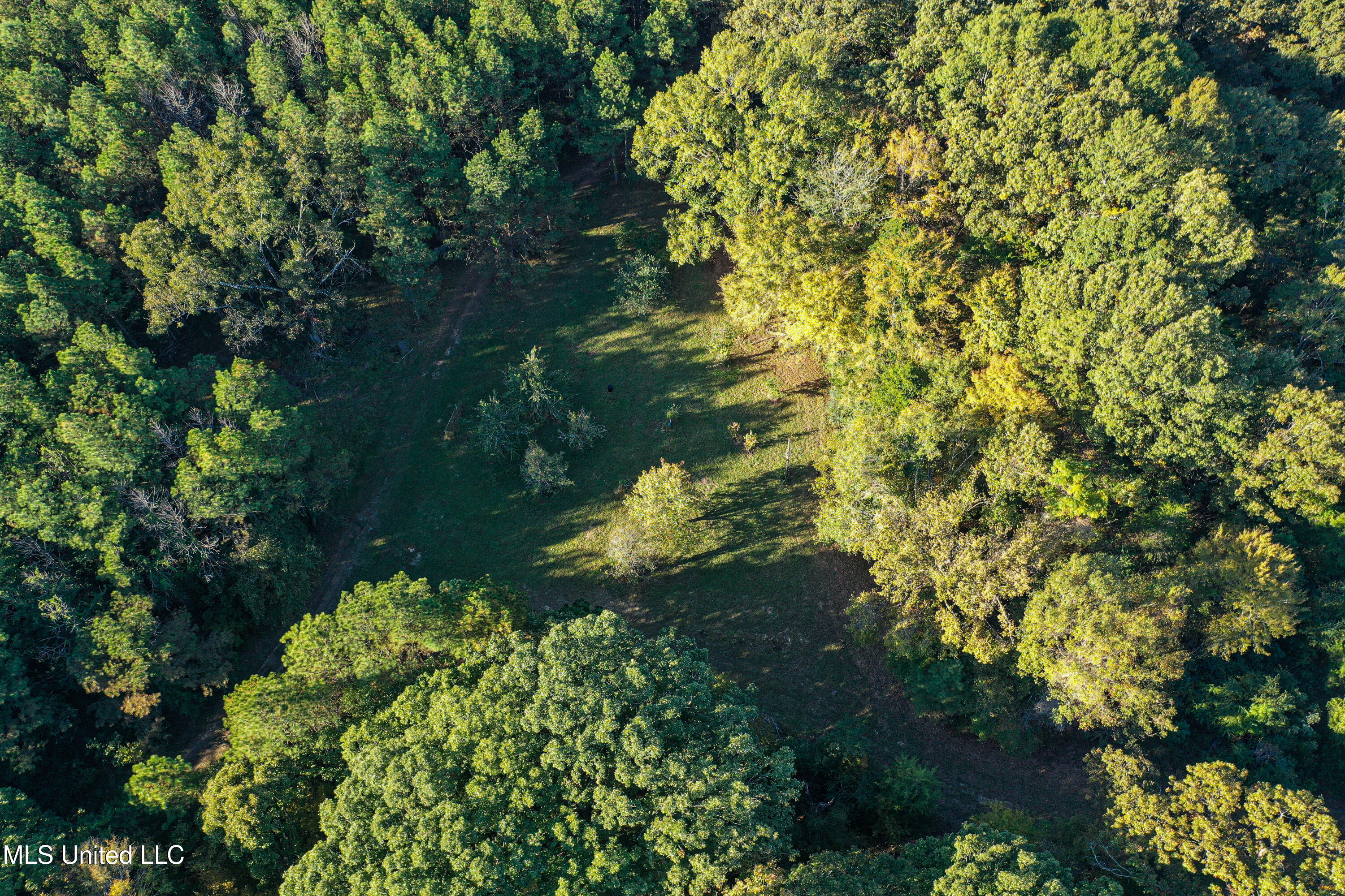 106 Crockrell Road Lexington, MS 39095 - Photo 49 of 185 DJI_0177