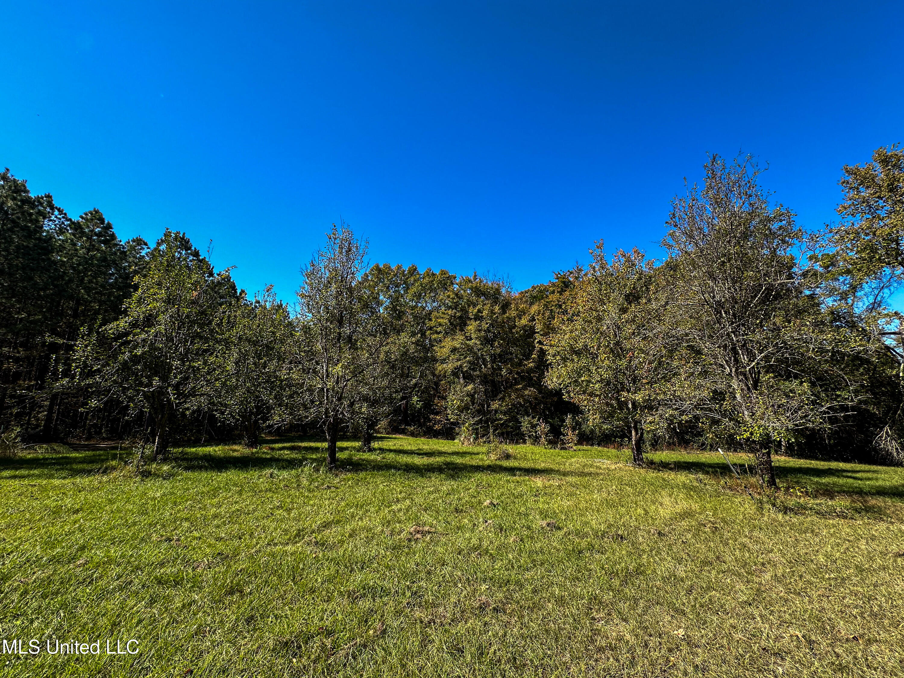 106 Crockrell Road Lexington, MS 39095 - Photo 51 of 185 IMG_0348