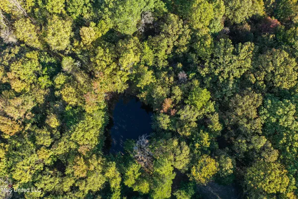 $650,000 | 106 Crockrell Road, Lexington, MS 39095