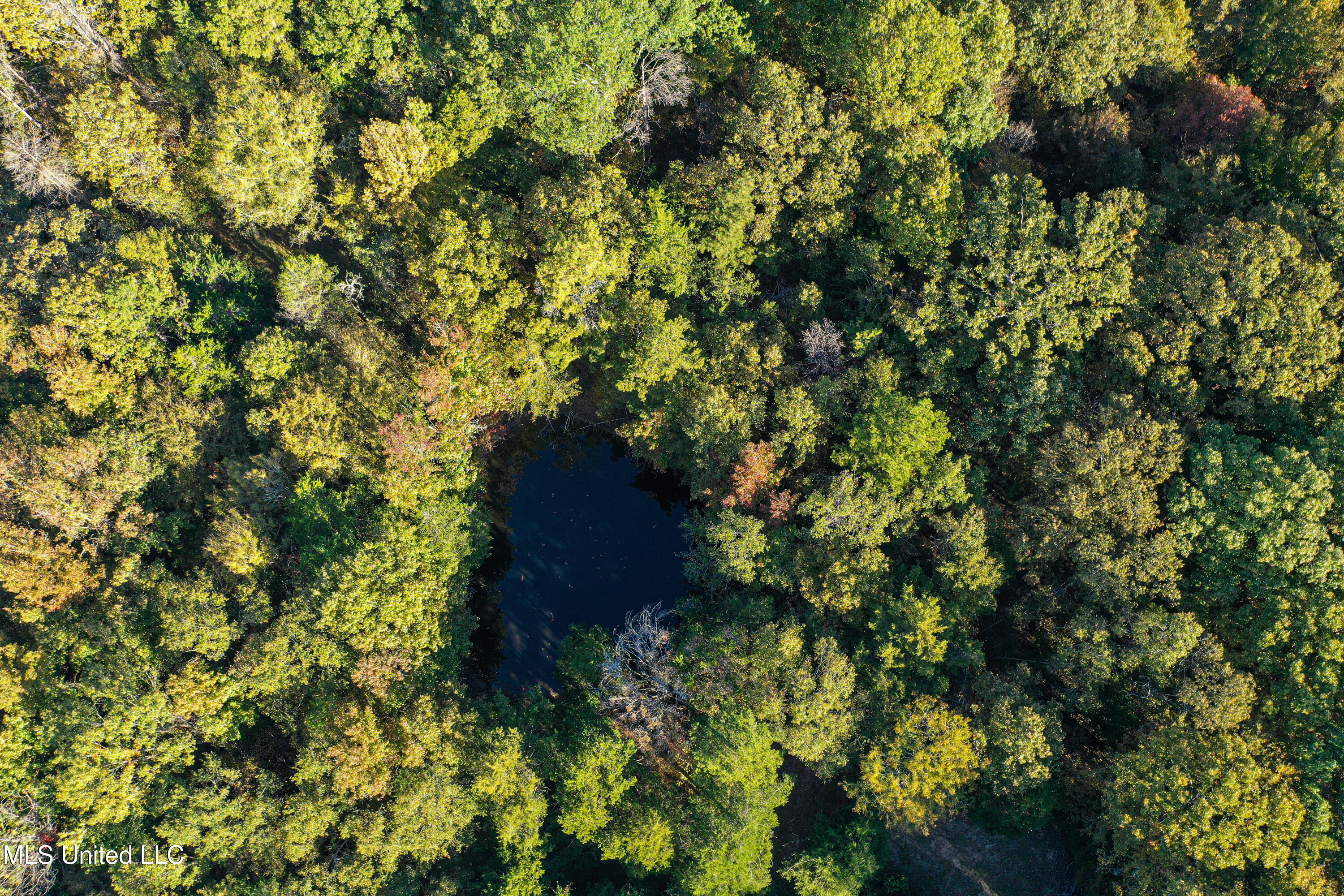 106 Crockrell Road Lexington, MS 39095 - Photo 52 of 185 DJI_0178