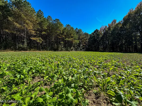 $650,000 | 106 Crockrell Road, Lexington, MS 39095