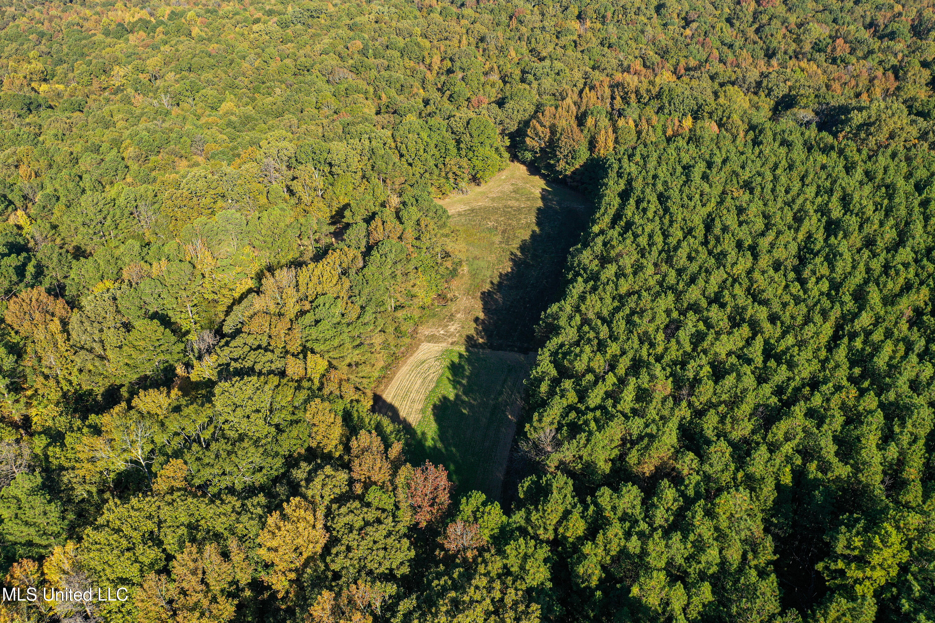106 Crockrell Road Lexington, MS 39095 - Photo 56 of 185 DJI_0181
