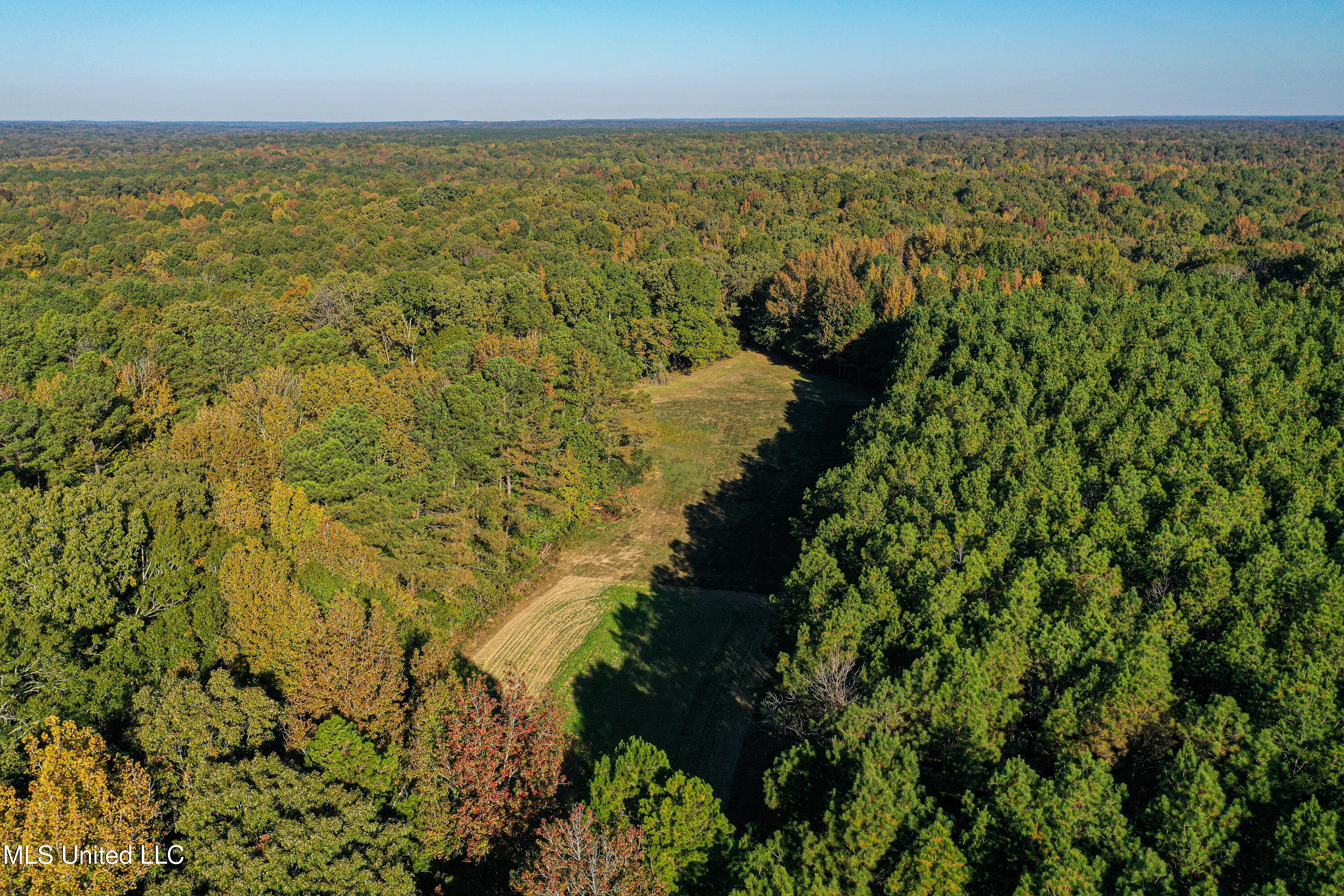 106 Crockrell Road Lexington, MS 39095 - Photo 58 of 185 DJI_0182