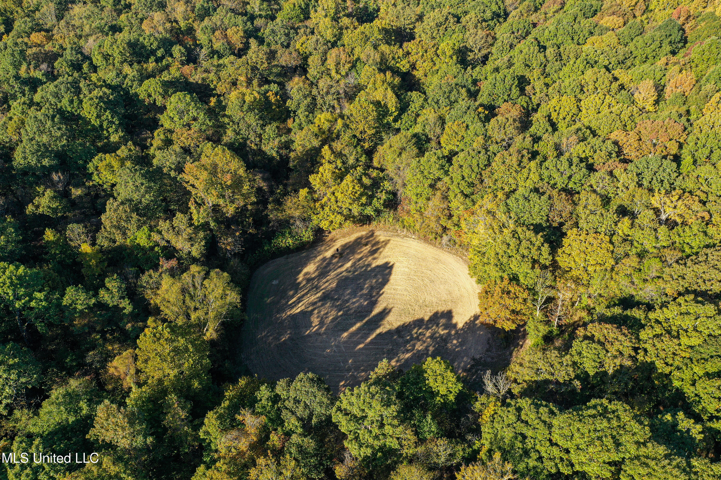 106 Crockrell Road Lexington, MS 39095 - Photo 59 of 185 DJI_0184