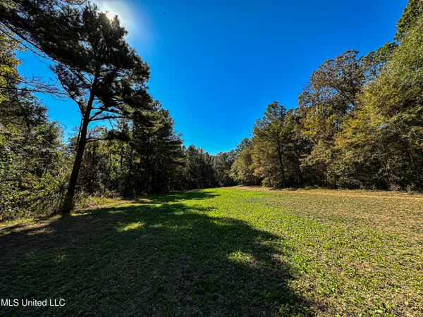 $650,000 | 106 Crockrell Road, Lexington, MS 39095