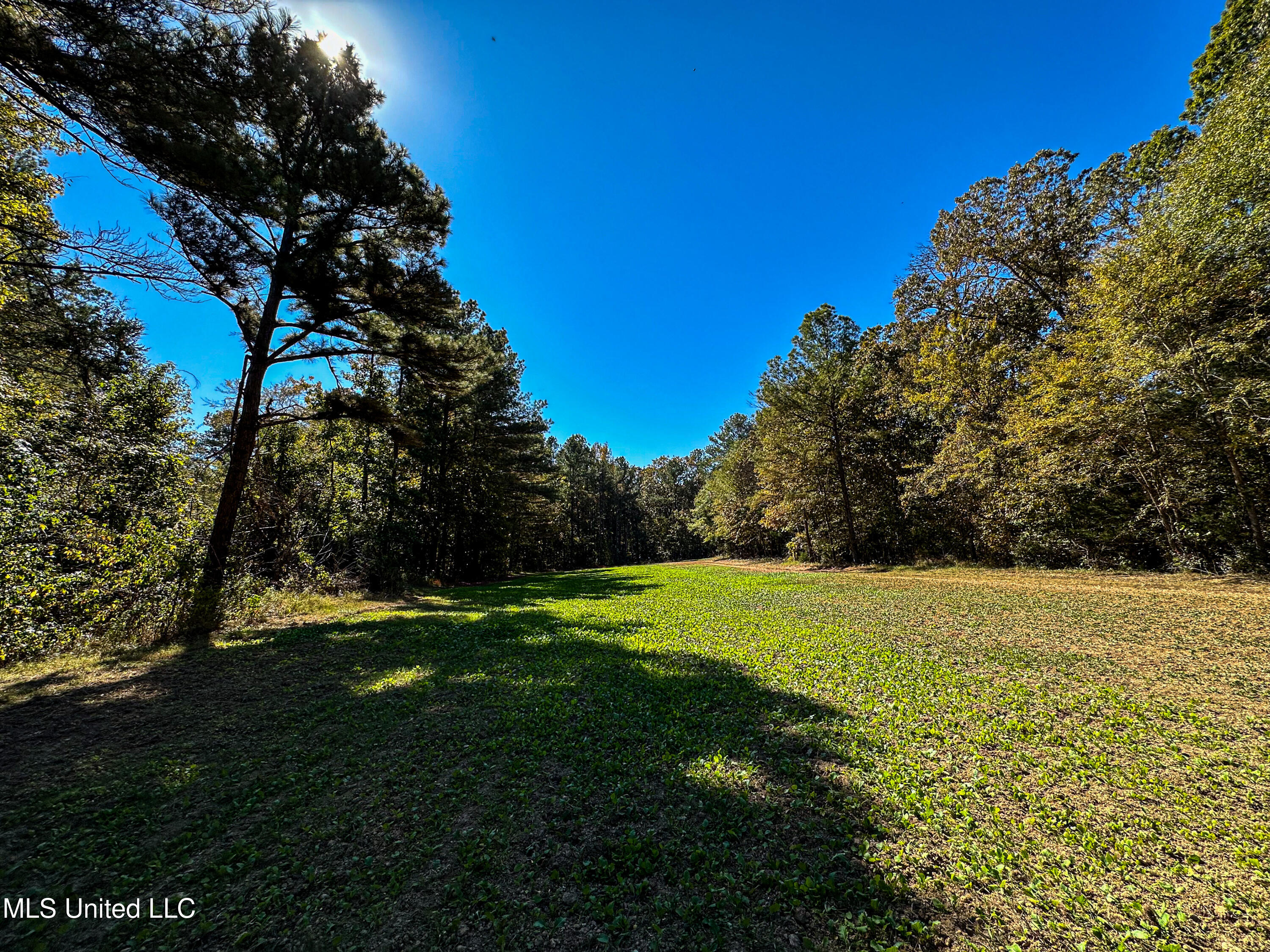 106 Crockrell Road Lexington, MS 39095 - Photo 61 of 185 IMG_0360