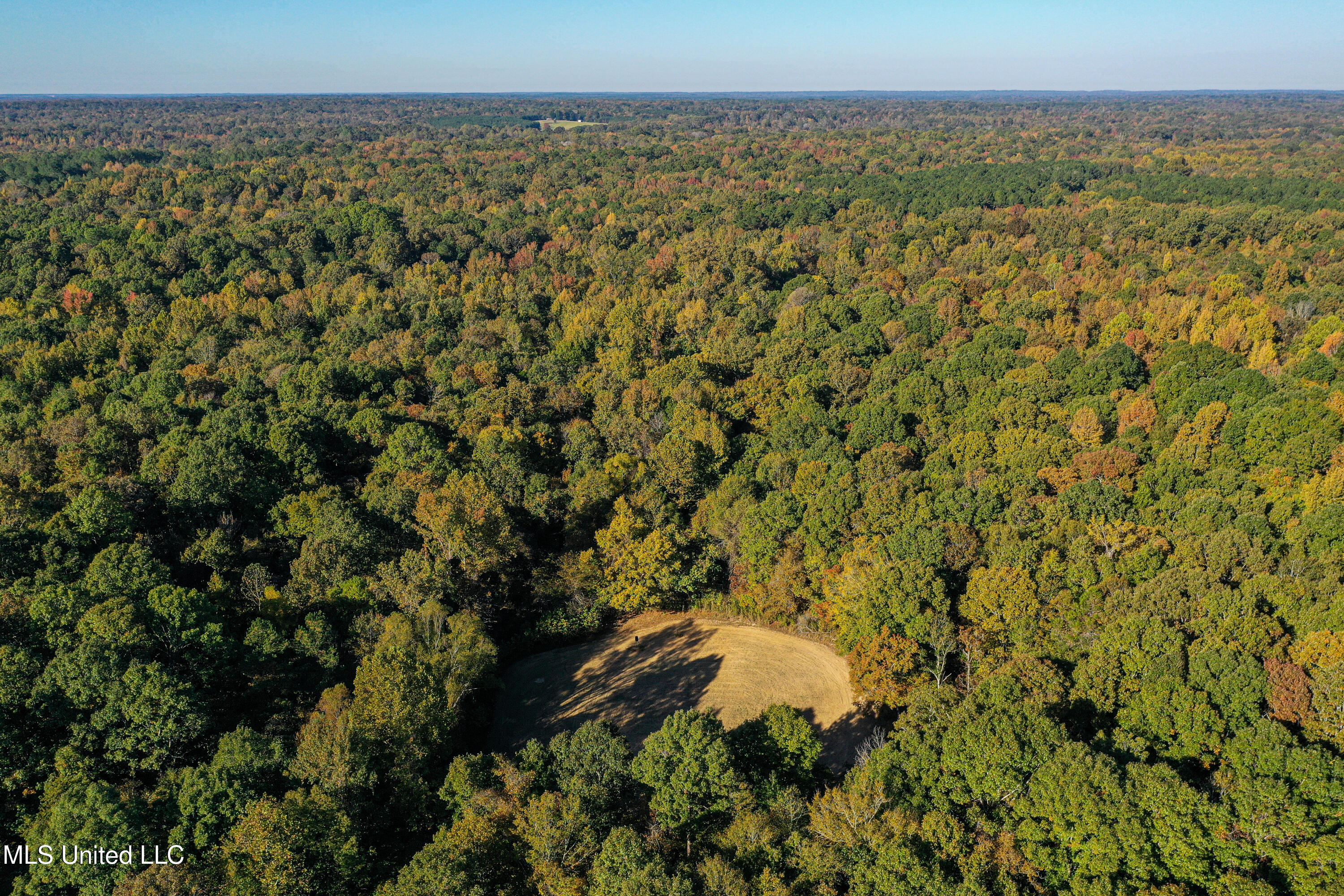 106 Crockrell Road Lexington, MS 39095 - Photo 62 of 185 DJI_0185