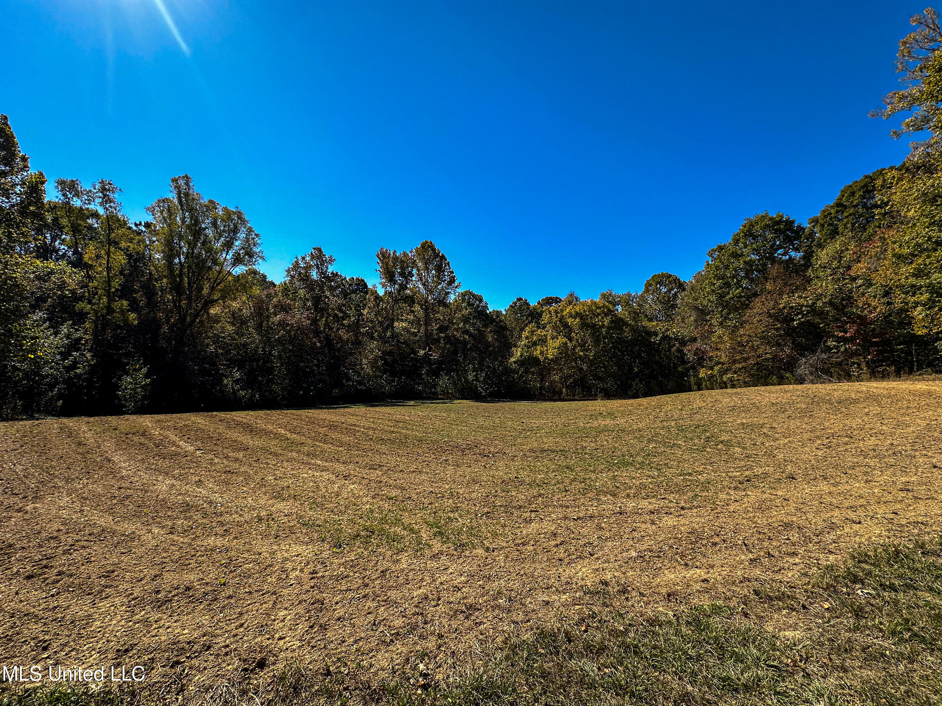 106 Crockrell Road Lexington, MS 39095 - Photo 63 of 185 IMG_0362
