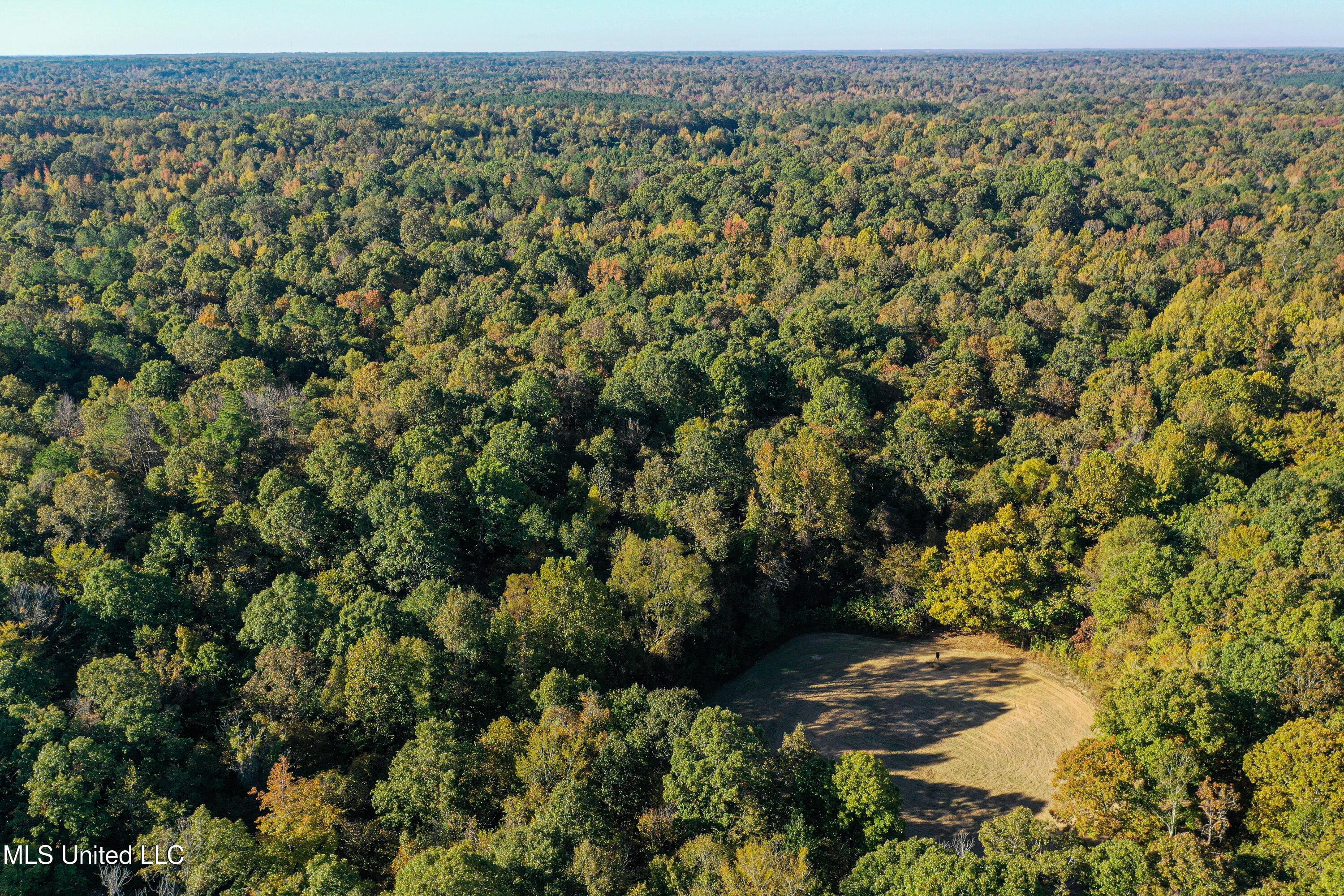 106 Crockrell Road Lexington, MS 39095 - Photo 64 of 185 DJI_0186