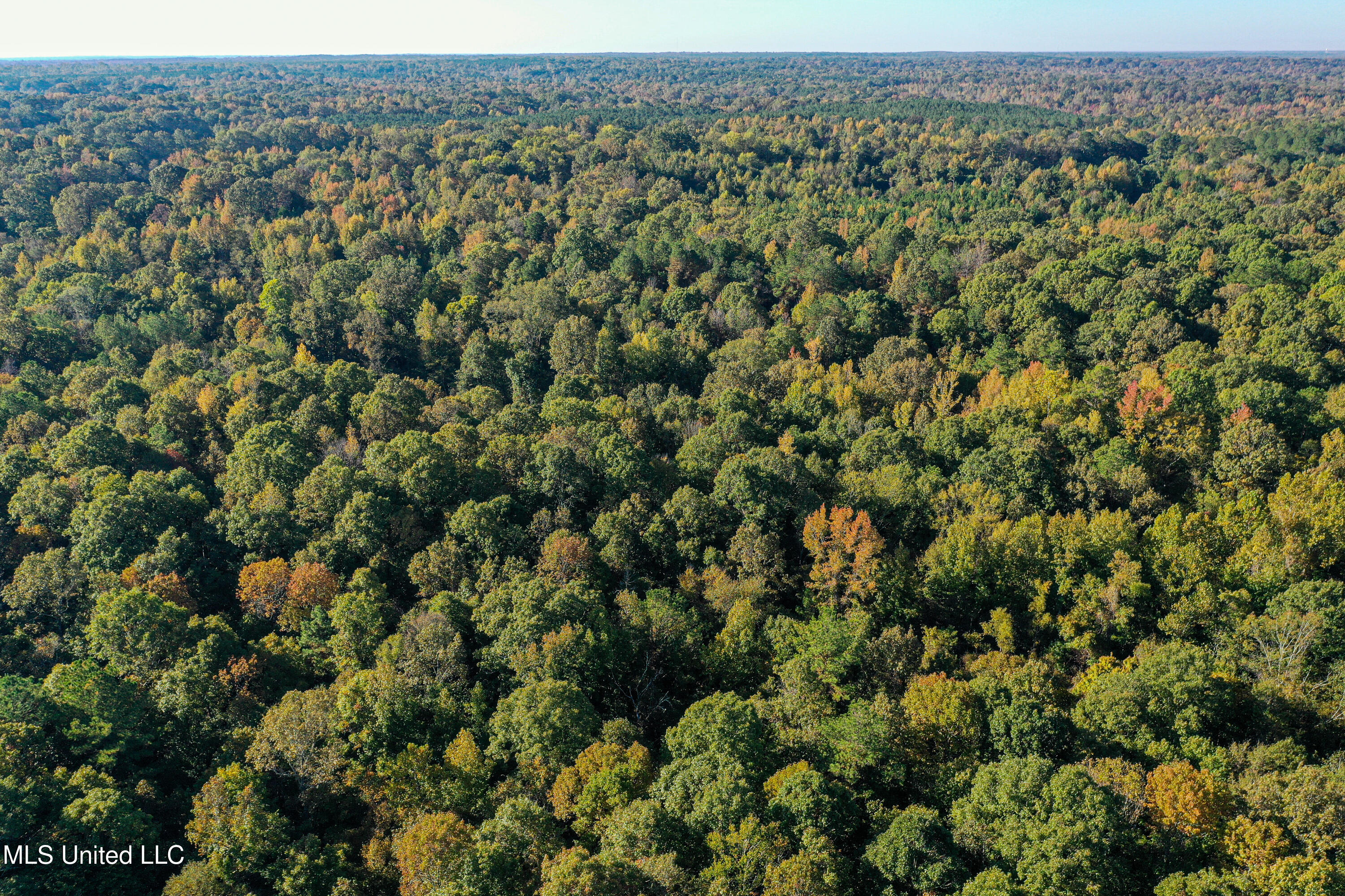 106 Crockrell Road Lexington, MS 39095 - Photo 66 of 185 DJI_0187