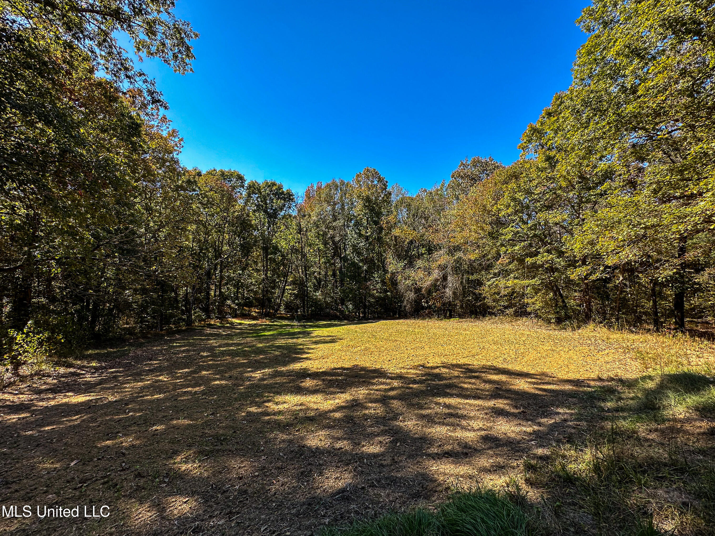 106 Crockrell Road Lexington, MS 39095 - Photo 67 of 185 IMG_0378